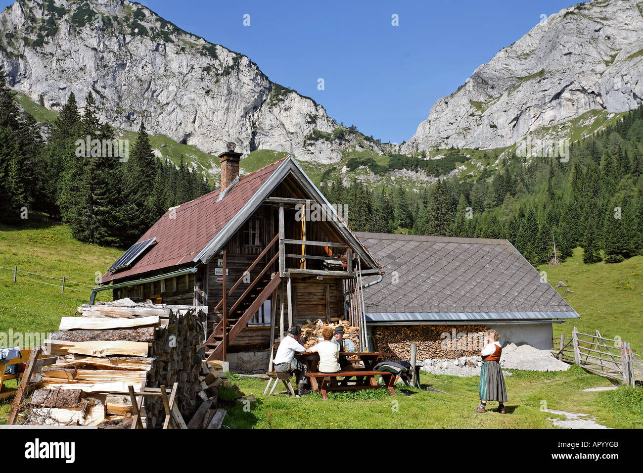 Neuwald Alp, Hochschwab, Steiermark, Österreich Stockfoto