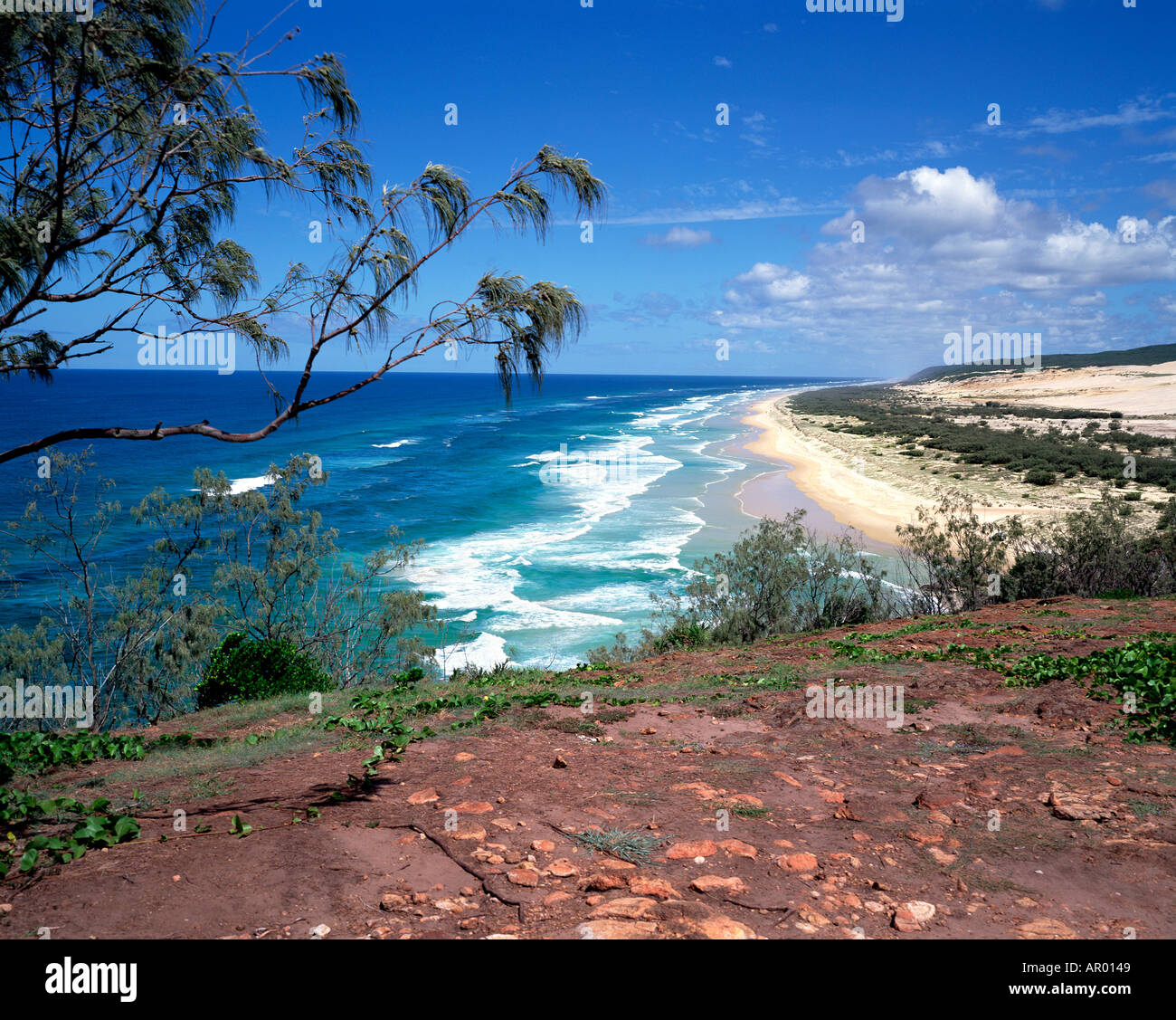 Corroboree Strand aus Indian Head Fraser Island-Queensland-Australien Stockfoto