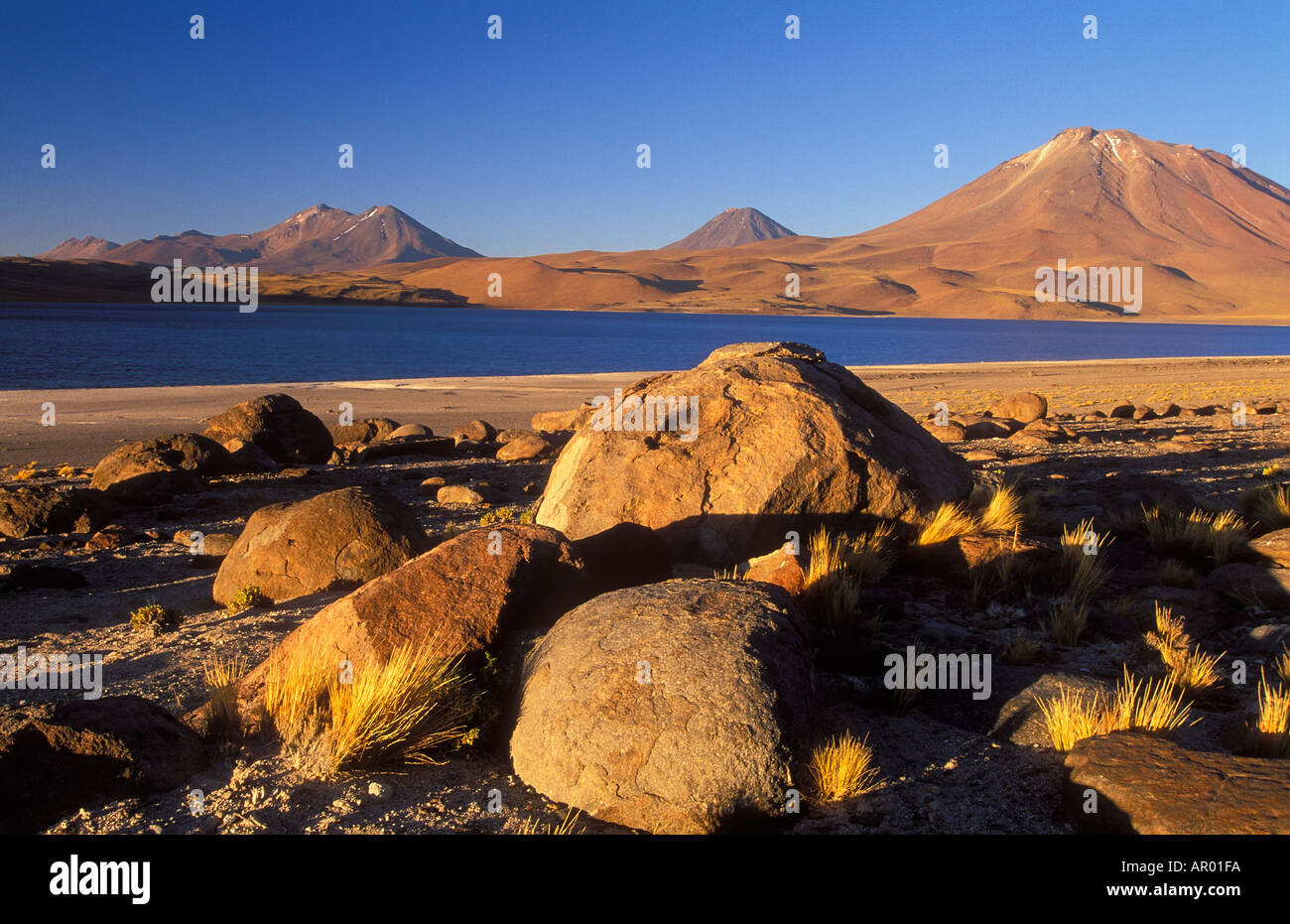 Laguna Miscanti Cerro Miniques der Anden Nordchile Stockfoto