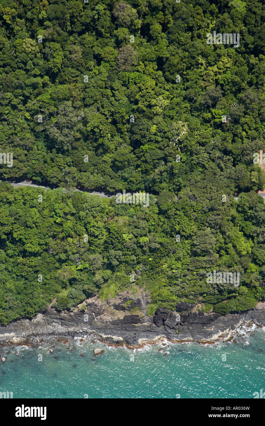 Weg zum Cape Tribulation und Schwarm Vögel Daintree National Park World Heritage Gebiet North Queensland Australien Antenne Stockfoto