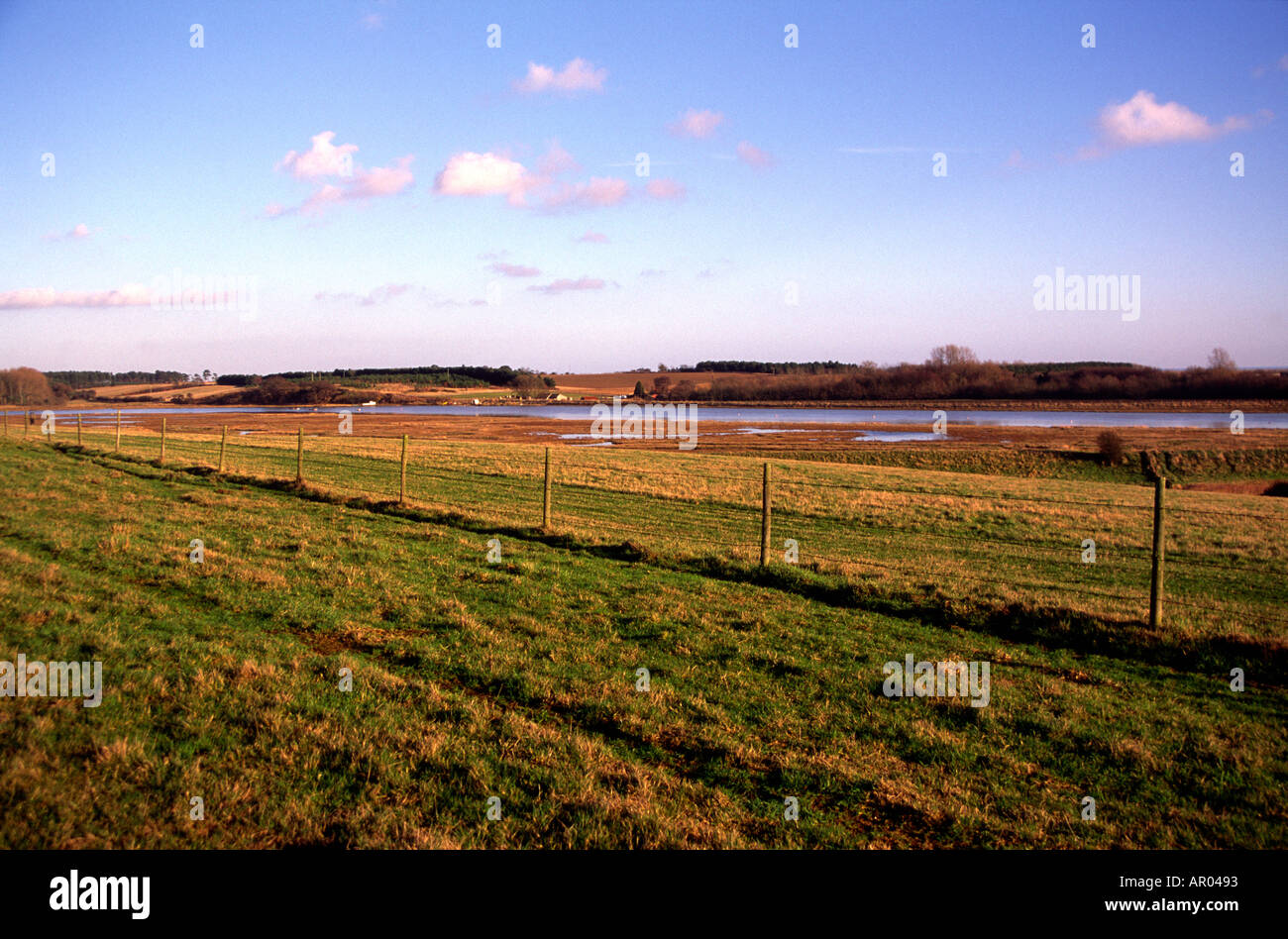 Butley Creek Suffolk England Stockfoto