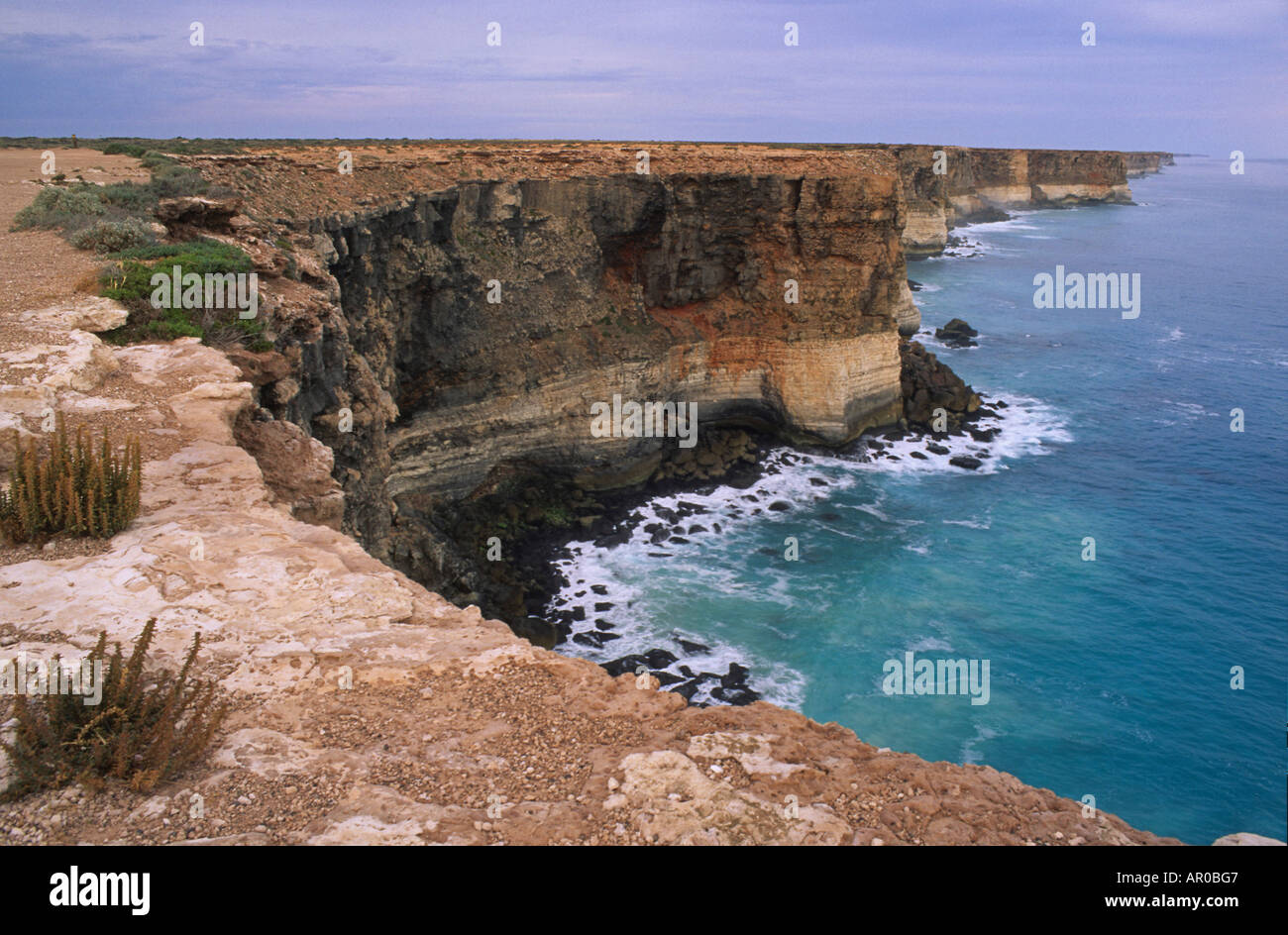 Bunda Cliffs, Great Australian Bight, Nullarbor, South Australia, Australien Stockfoto