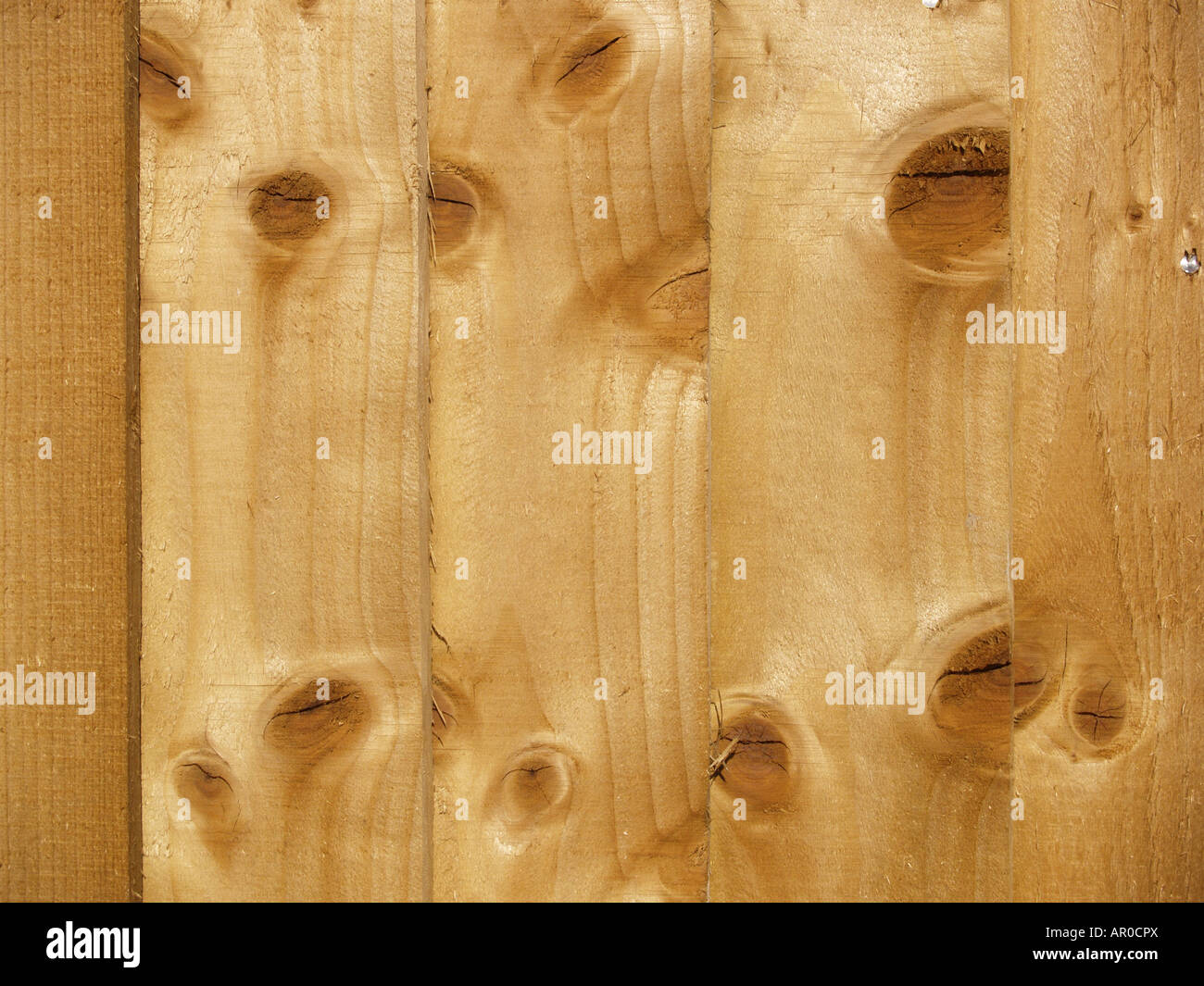 Goldene Holzplatten behandelt Gartenzaun closeup Stockfoto