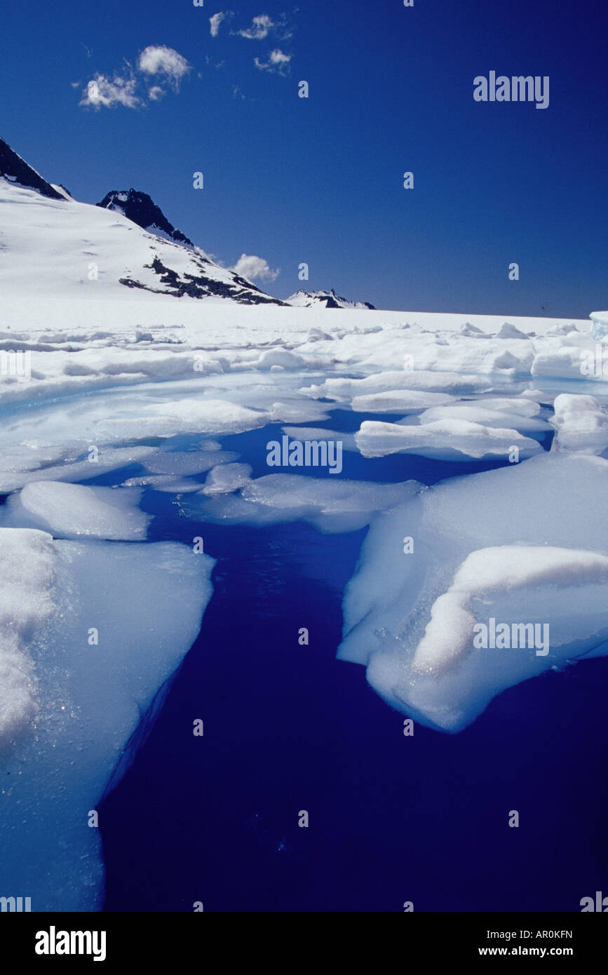 Auf Mendenhall Gletscher südöstlichen Alaska Sommer schmelzen Eisberge im Teich Stockfoto
