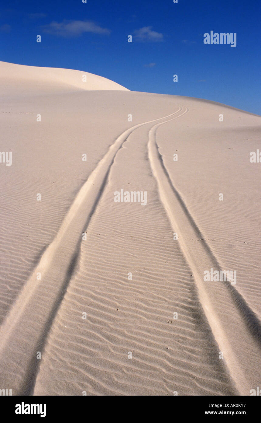 Fahrzeugspuren im weißen Sand Düne, Australien Stockfoto