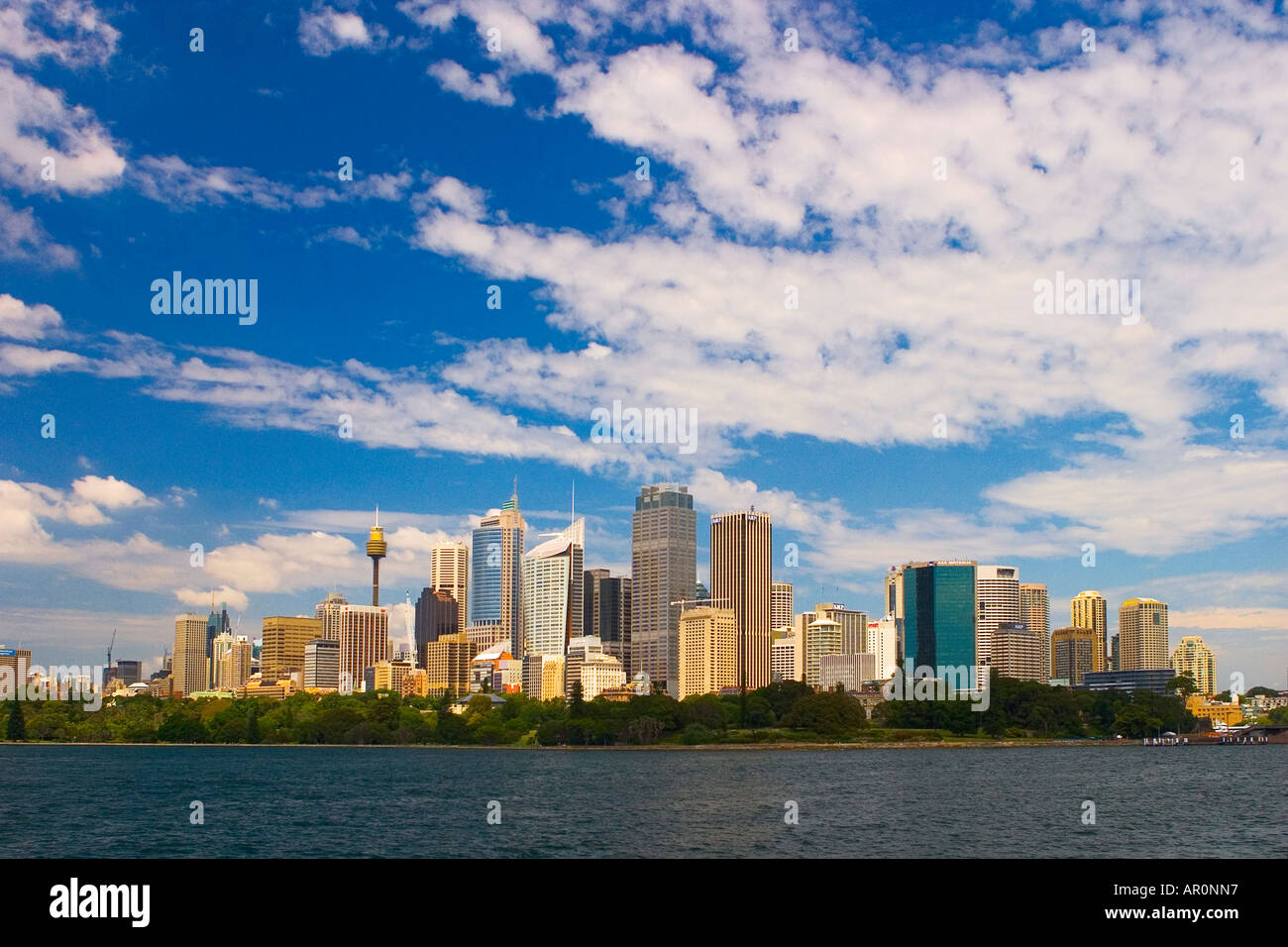 Sydney Skyline von Port Jackson Hafen New South Wales Australien Stockfoto