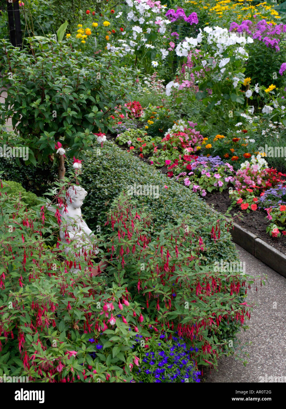 Fuchsie (fuchsia) mit jährlichen Sommer Blumen Stockfoto