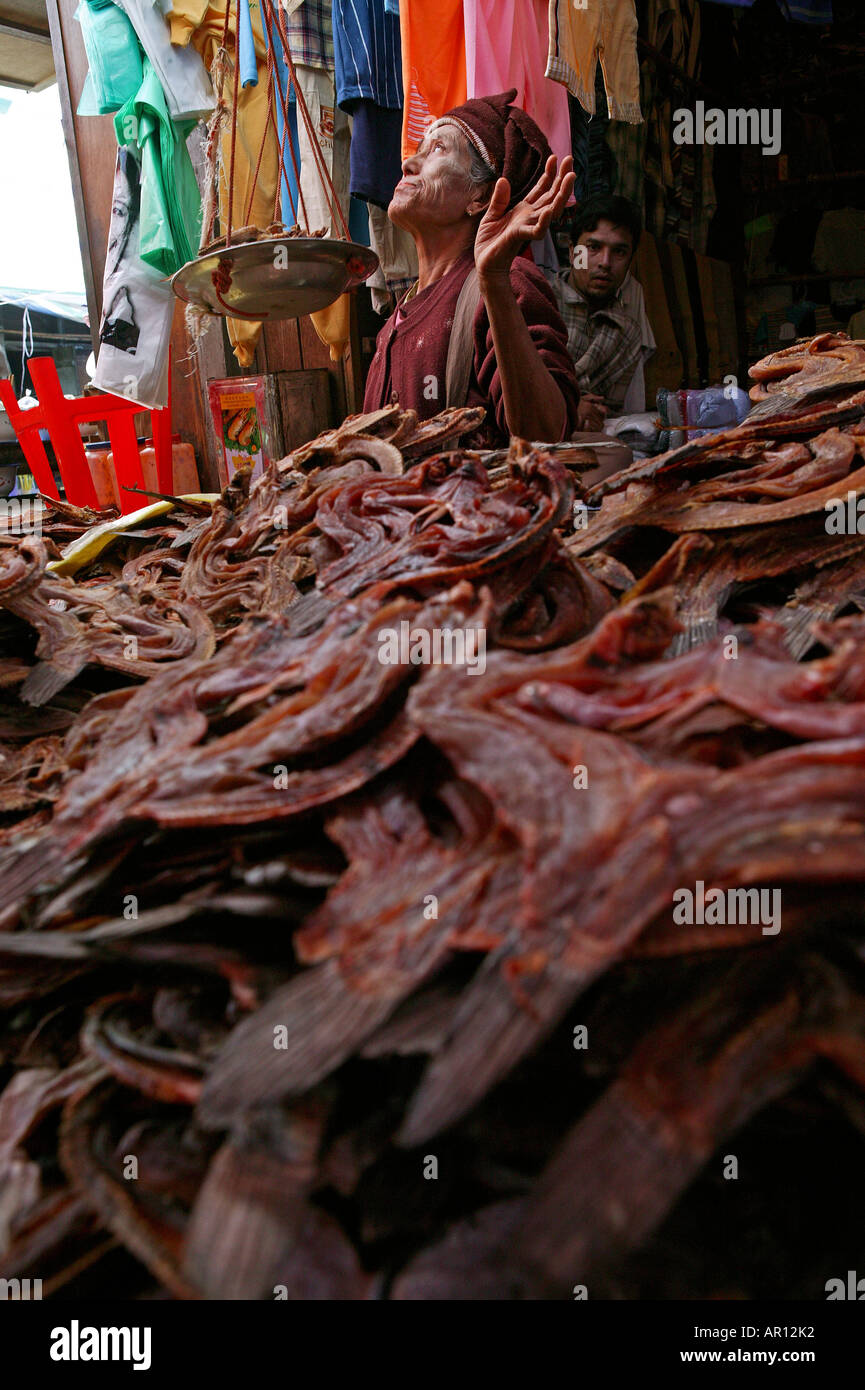Getrockneter Fisch, täglich ein Markt Taunggyi, Frau verkaufen Trockenfisch in Taunggyi Markt, Hauptstadt der Shan Provinz leer Trockensich, T Stockfoto