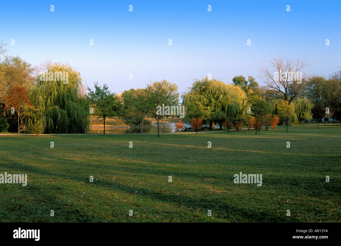 In den schattigen Bäume ruhig Washington Park Chicago USA Stockfoto