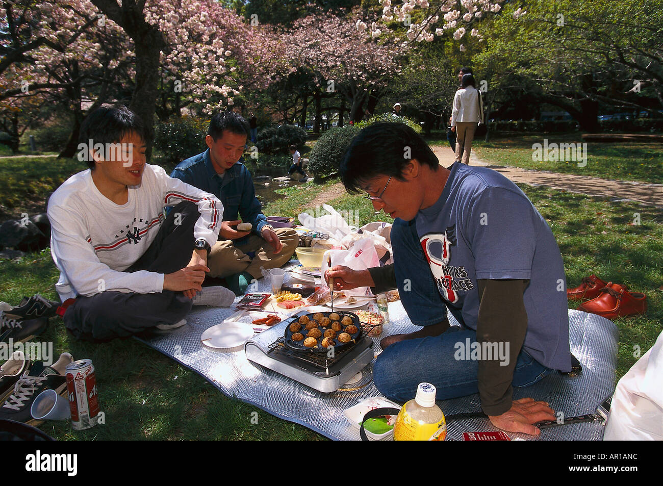 Picknick, Kirsche Blume Feier, Imperial Palace Park, Kyoto, Japan, Asien Stockfoto