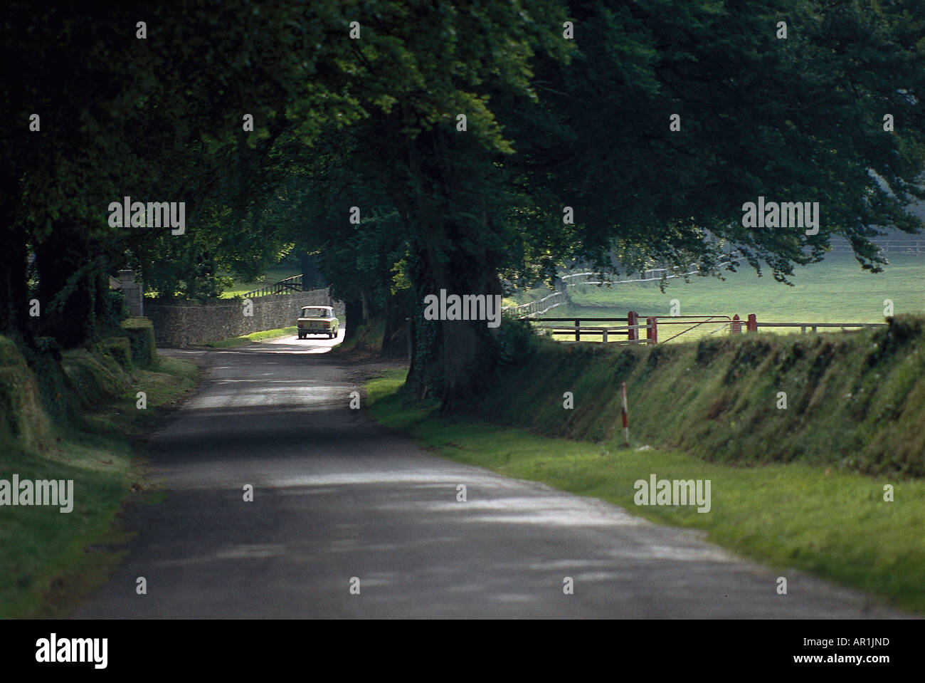 Landstraße u. Pferdeweiden, Curragh Irland Stockfoto