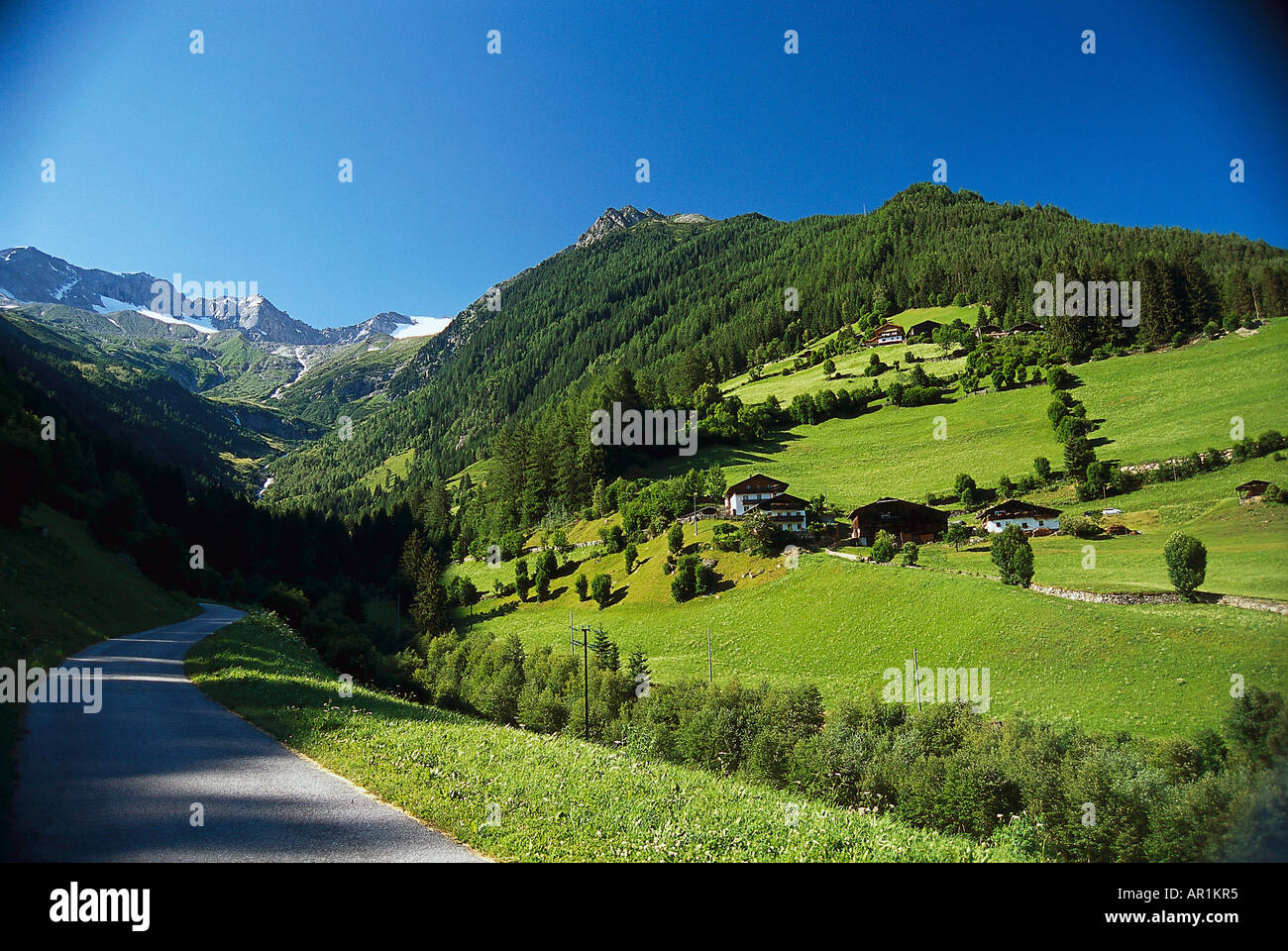 Grüne Wiesen im Tal Tauferer Ahrntal unter blauem Himmel, Pustertal, Südtirol, Italien, Europa Stockfoto