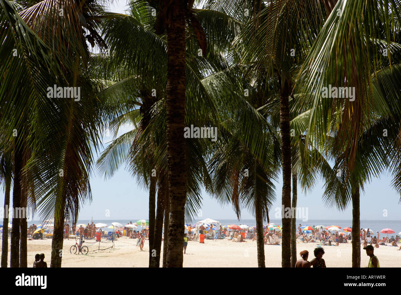 Palmen und Menschen am Strand der Copacabana in Rio De Janeiro Brasilien Stockfoto