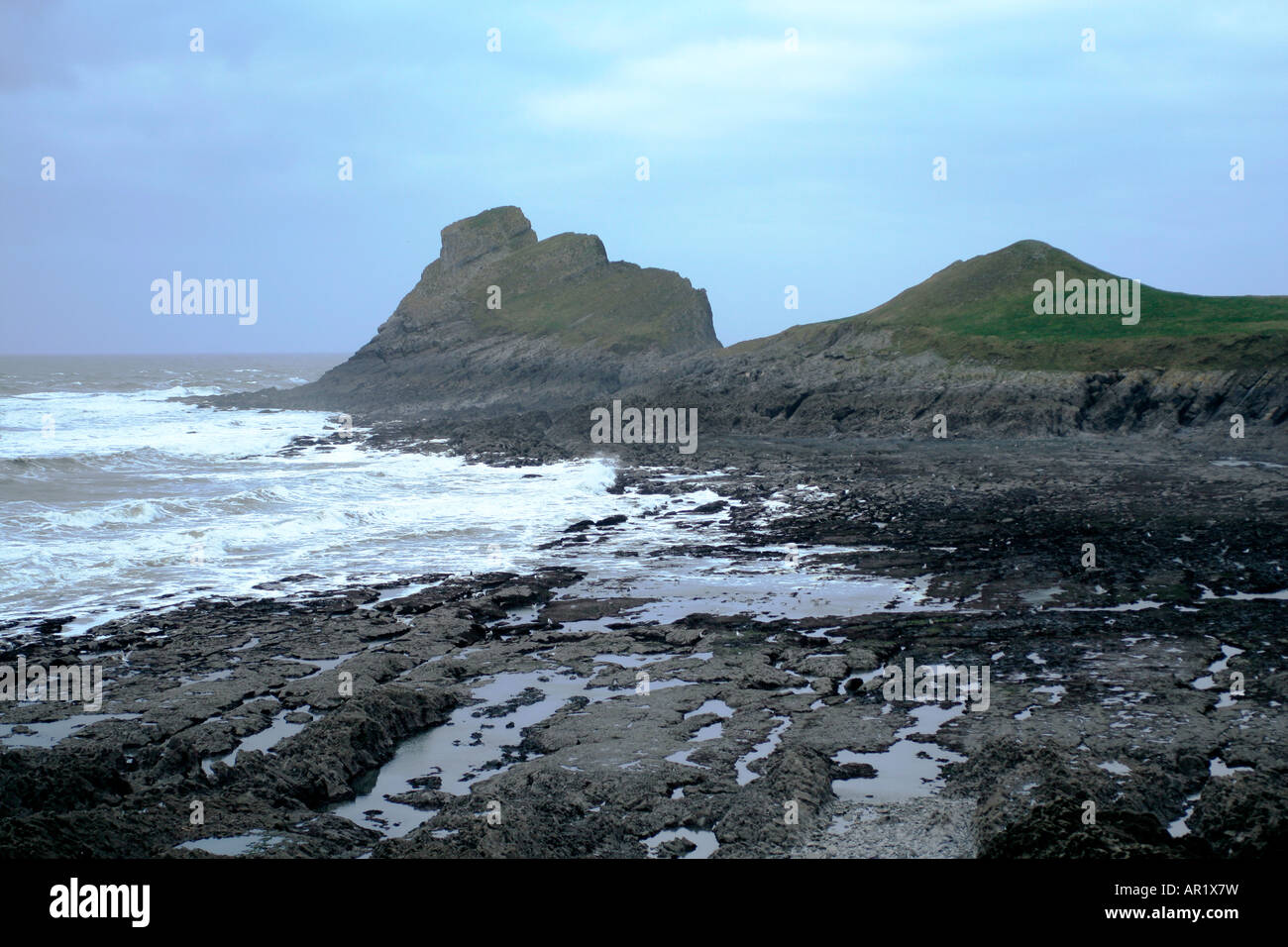 Würmer Kopf der Gower-Süd-Wales Stockfoto