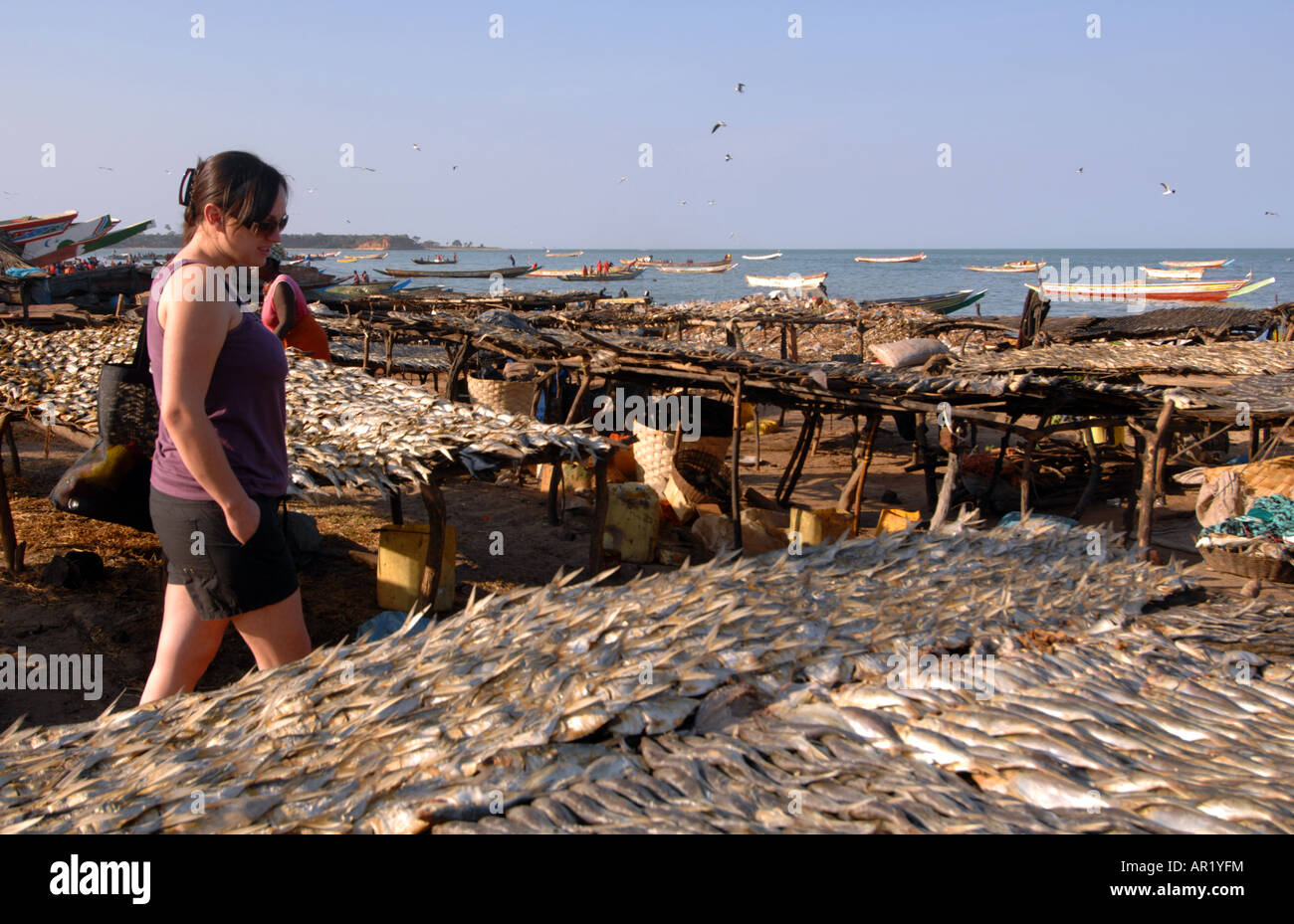 Frau schaut an Fisch trocknen in der Sonne, Tanji, Gambia, Westafrika Stockfoto