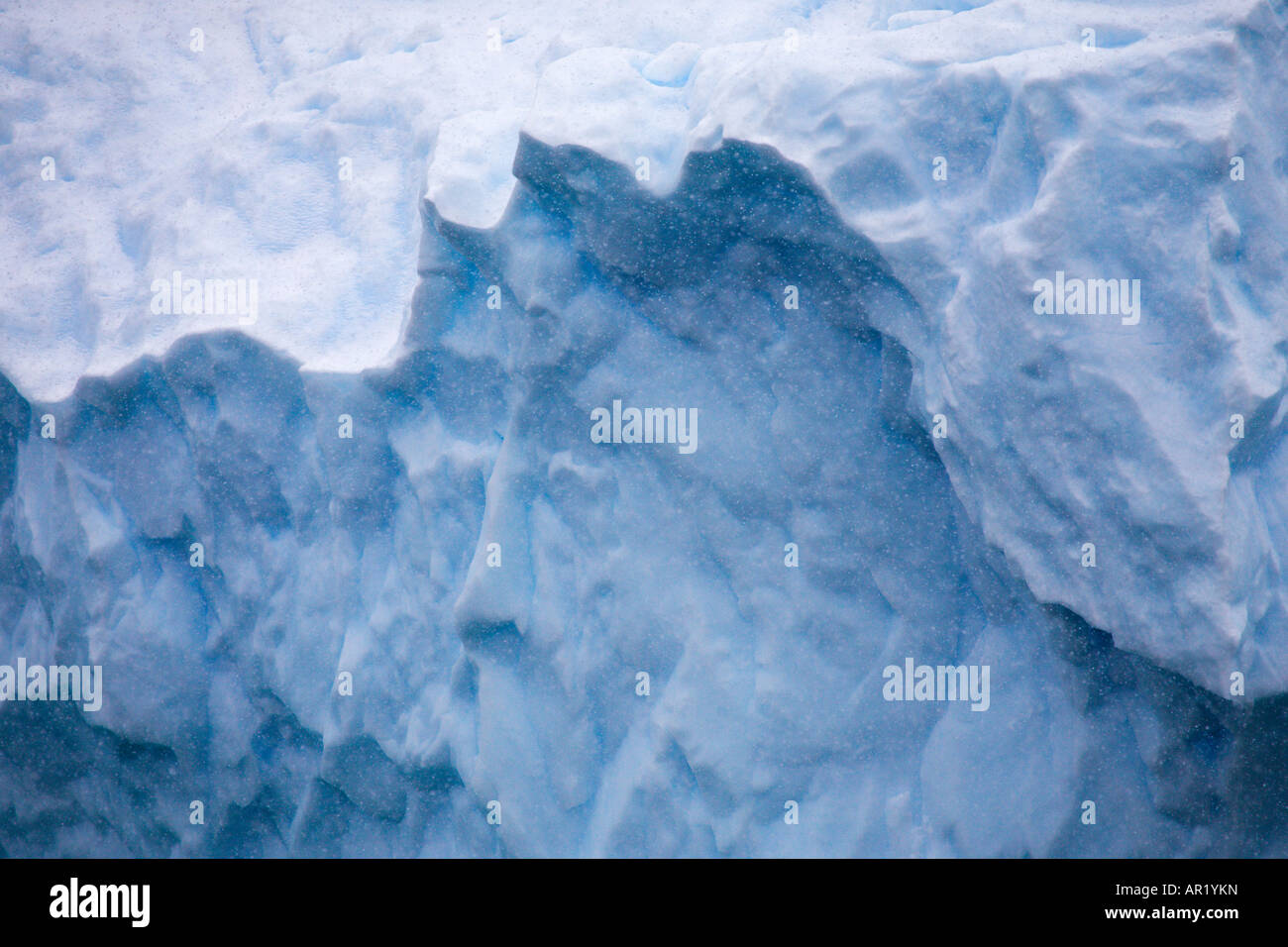 Nahaufnahme Detail des antarktischen Eisberges, Antarktis Stockfoto