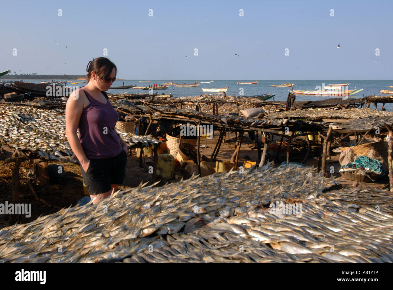 Frau schaut an Fisch trocknen in der Sonne, Tanji, Gambia, Westafrika Stockfoto