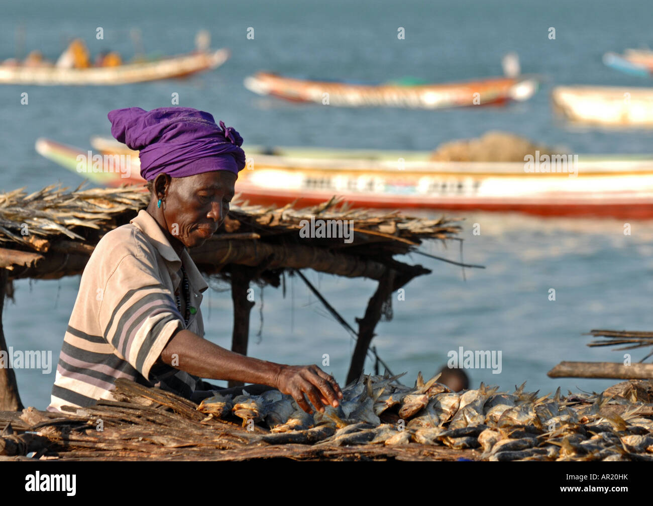 Fisch gesalzen und trocknen in der Sonne wird sortiert, Tanji, Gambia, Westafrika Stockfoto