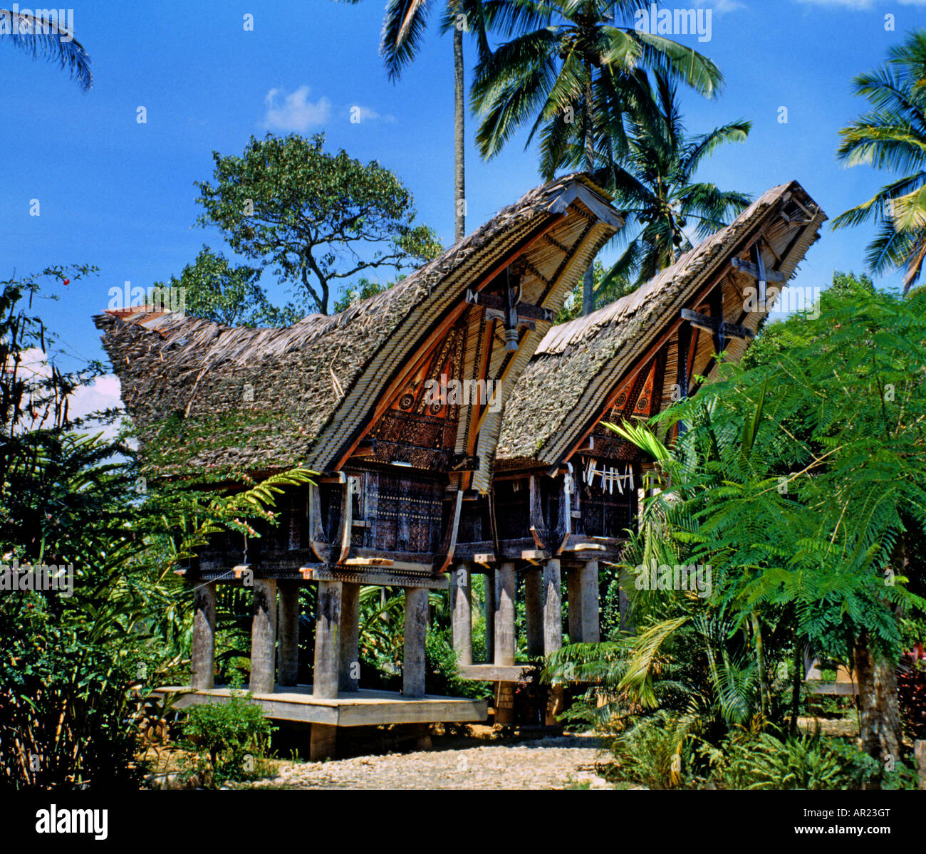 LEMO Tana Toraja Sulawesi Celebes Tau tau Stockfoto