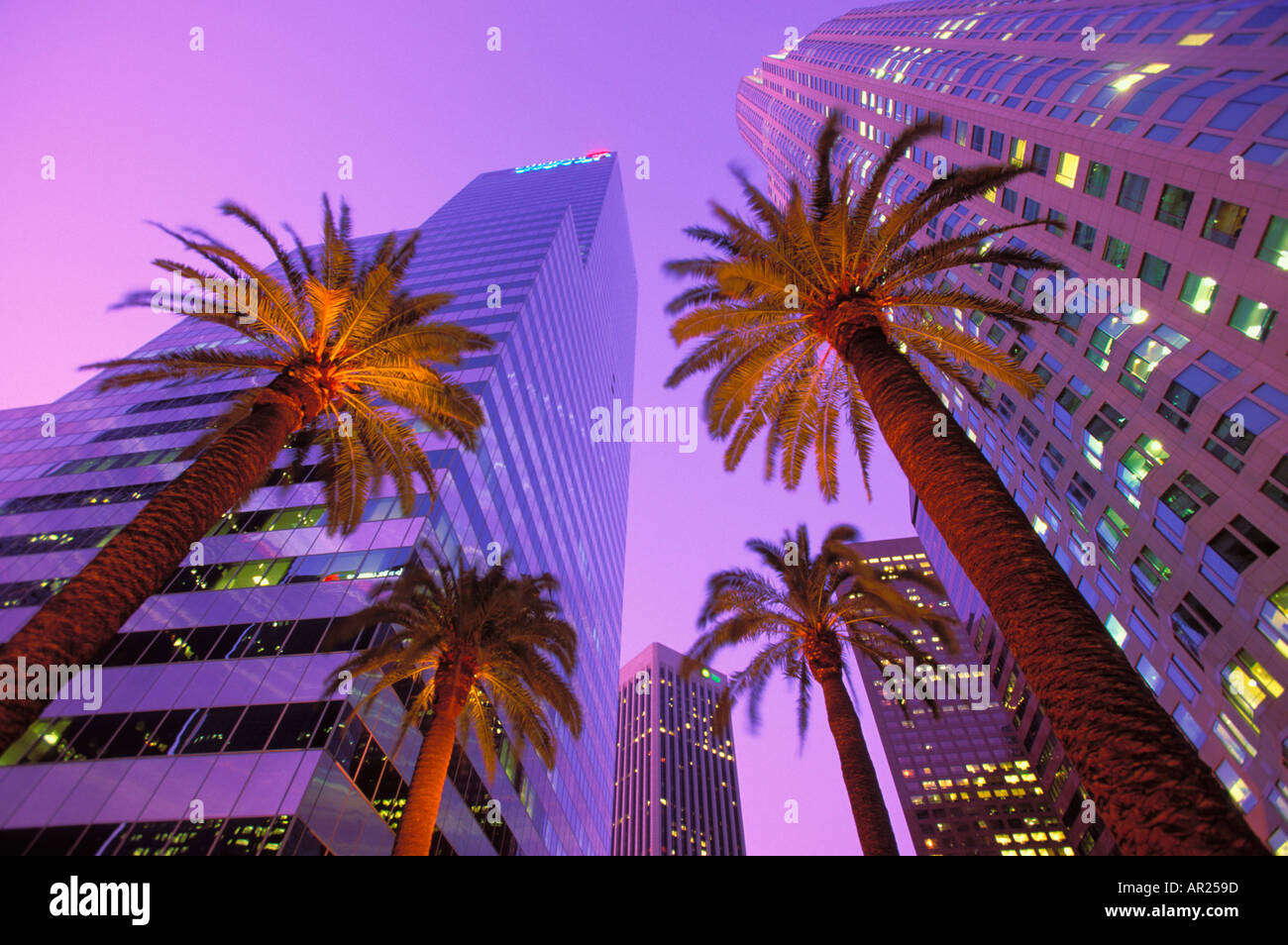 Palmen und hohen Gebäuden in Nacht Downtown Los Angeles Kalifornien USA 3205 040 02 Stockfoto