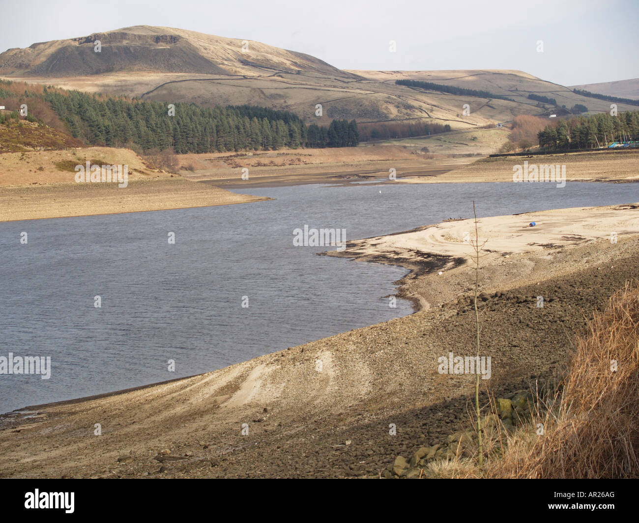 Schafzucht Hochtal Peak Reservoir Moos Stockfoto