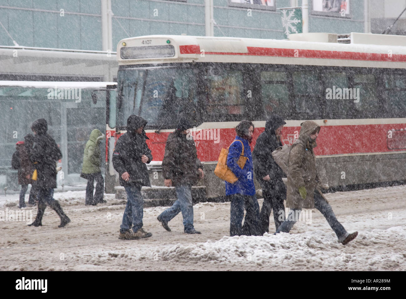 Schneesturm - Yonge Street - Downtown-Toronto - Ontario Stockfoto