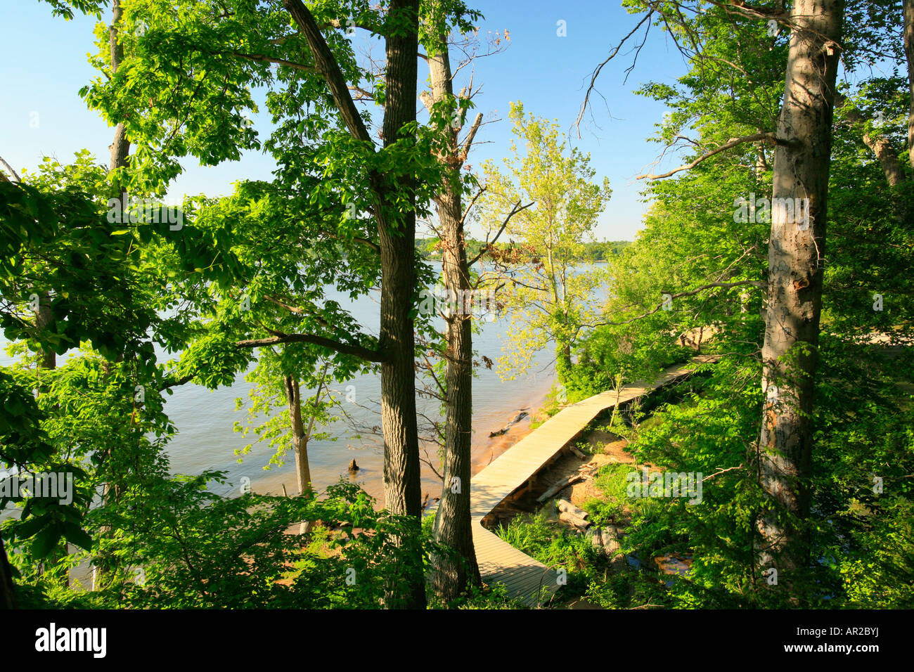 Mason Neck State Park, Fairfax County, Virginia, USA Stockfoto
