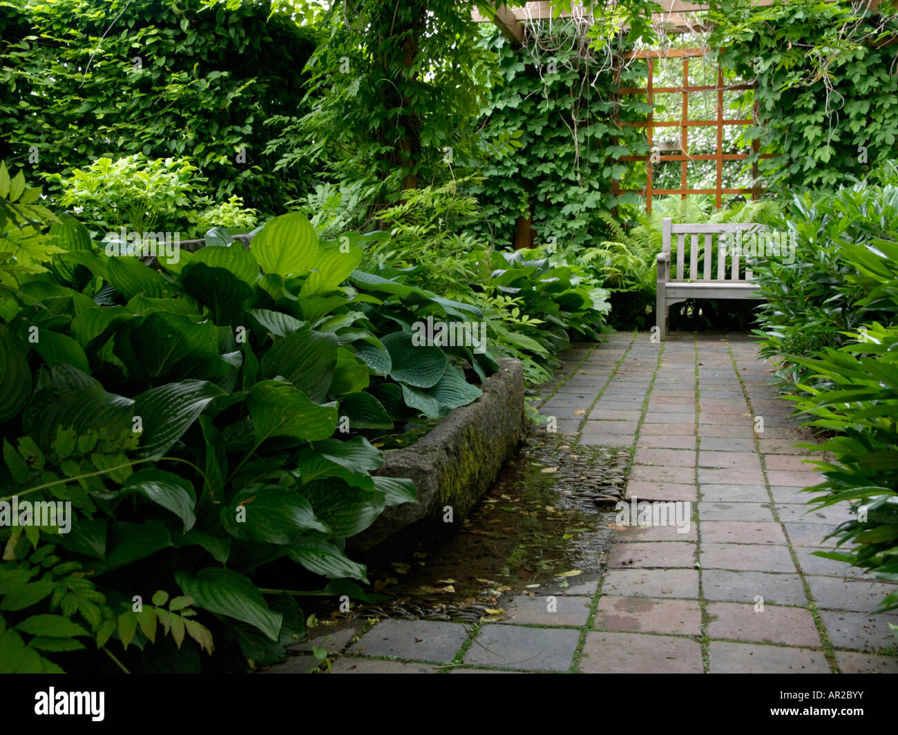 Schatten Garten Stockfoto