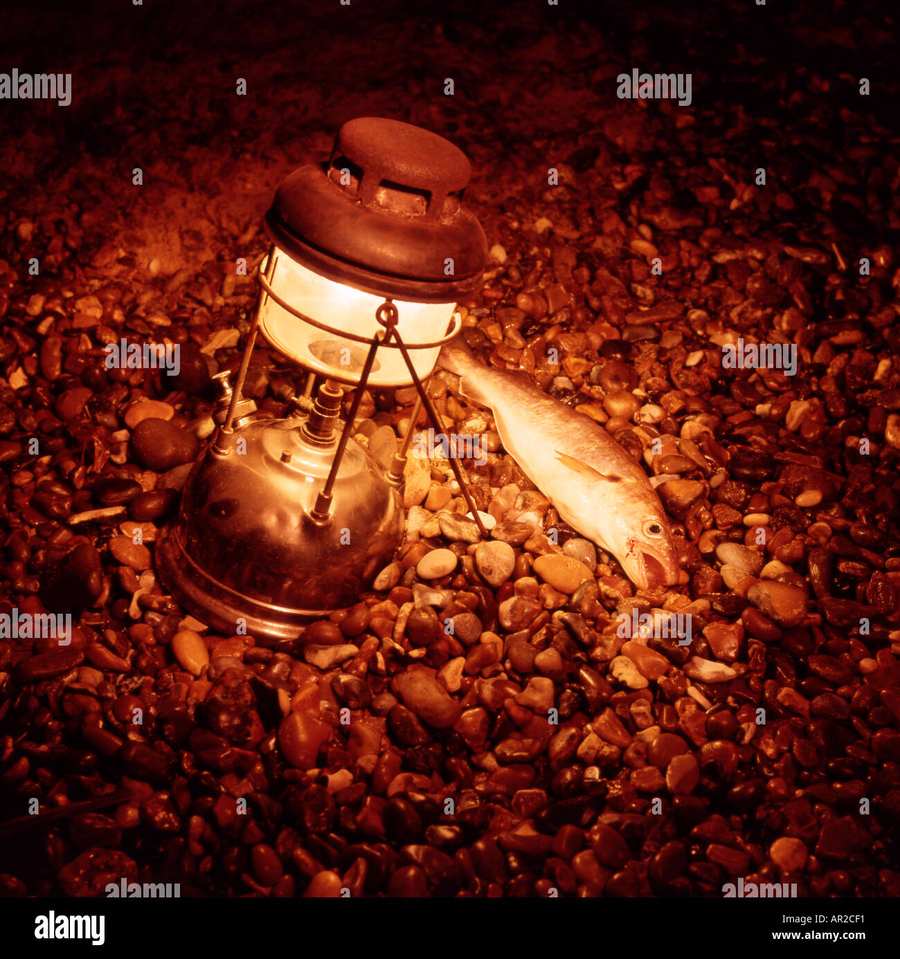 Tilley Lampe mit Fisch auf stoney Strand nachts Dunwich Suffolk Stockfoto