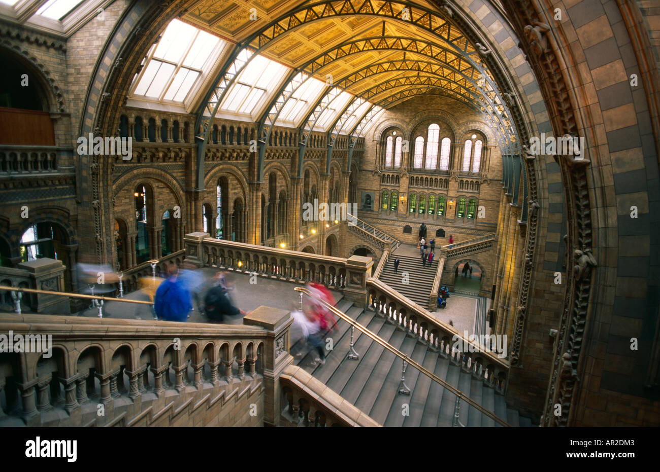 Natural History Museum, London Stockfoto