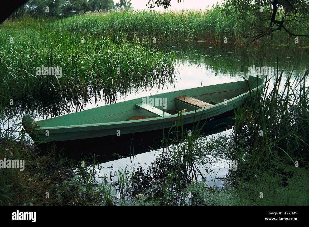 Ein Boot liegt im Schilf, Biebrzanski Park, Masuren, Polen Stockfoto