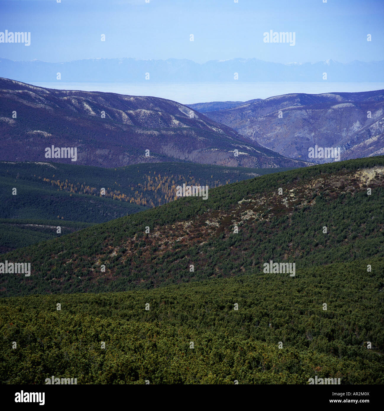 Landschaft im Nationalpark Bargusin am Baikalsee im Winter, Bargusin, Sibirien, Russland, Buriatien Stockfoto