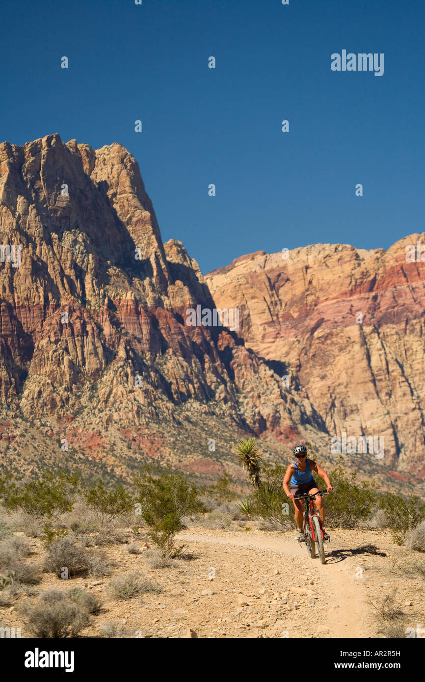 Mountainbiken auf die Cottonwood Valley Trail System Red Rock Canyon Conservation Area in der Nähe von Las Vegas Nevada Herr Stockfoto