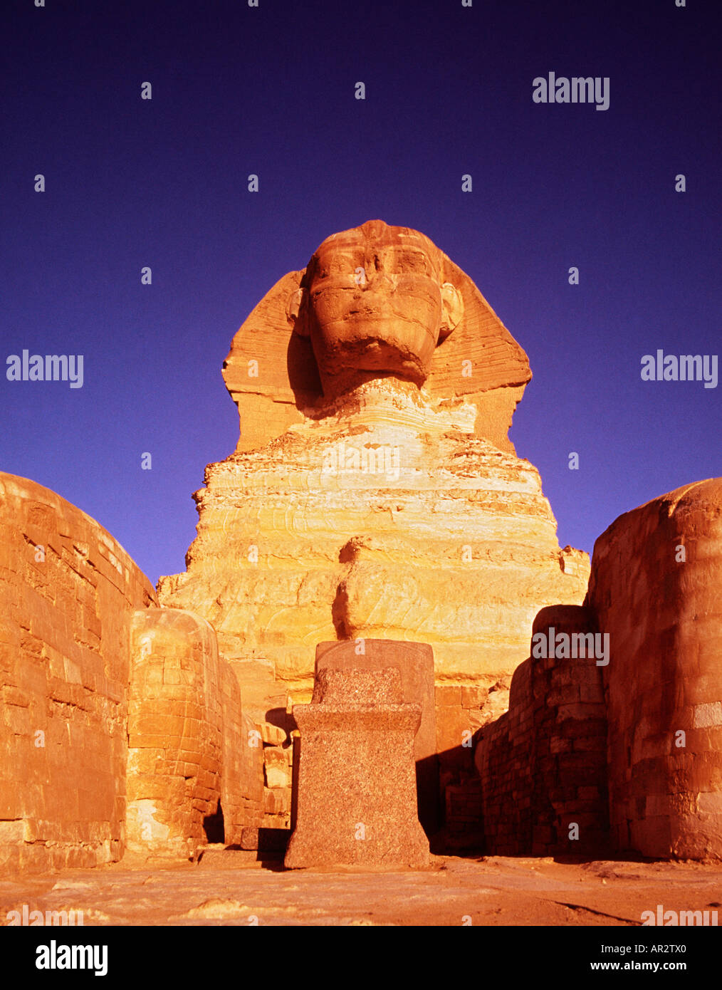 Die Sphinx, Ägypten, bei Sonnenaufgang Gizeh, Kairo, Ägypten. Nahaufnahme aus der Vogelperspektive, der Traumstele und der Sphinx zwischen den Pfoten Stockfoto