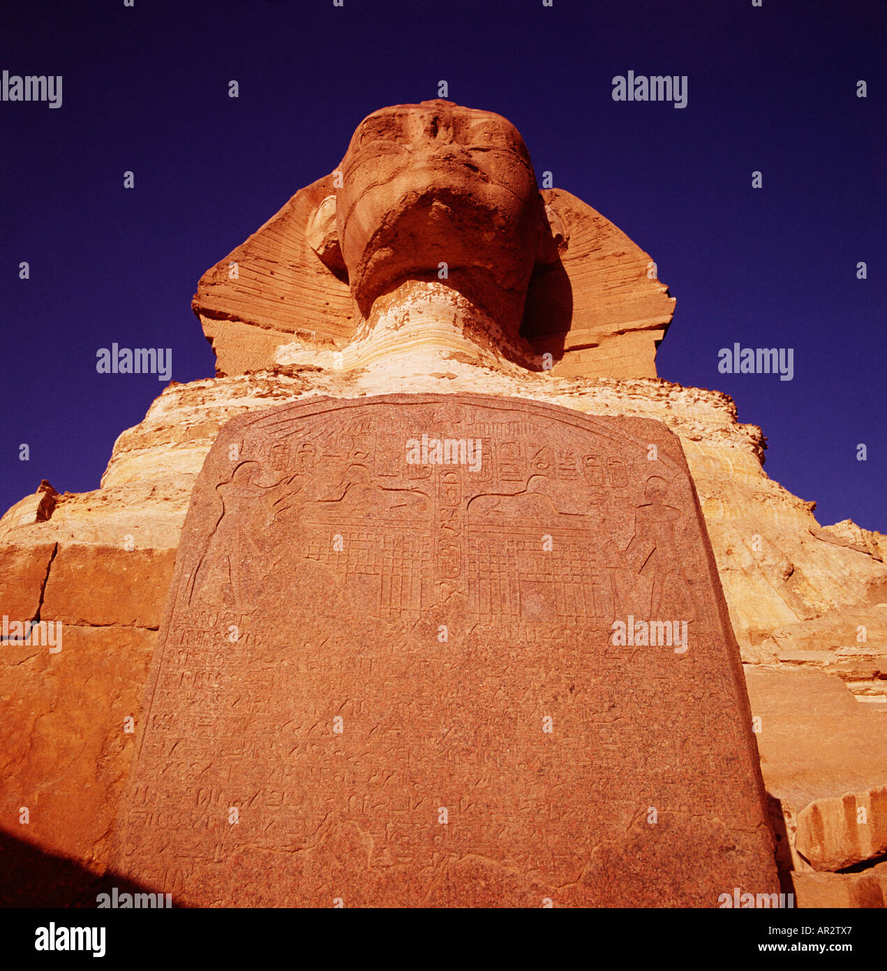 Die Sphinx in Ägypten, Gizeh, Kairo, Nord Afrika. Dramatische Nahaufnahme bei Sonnenaufgang, Birds Eye View suchen der Traum Stele zu Kopf. Unesco-Welterbe Stockfoto