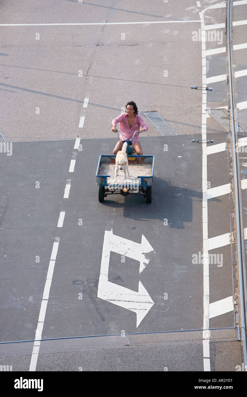 HOLLAND-AMSTERDAM-MANN SEINEN HUND IN EINEM CARGO-MOTOR FAHREN FAHRRAD ÜBER ZWEI WEIßE PFEILE AUF DIE STRAßE GEMALT Stockfoto