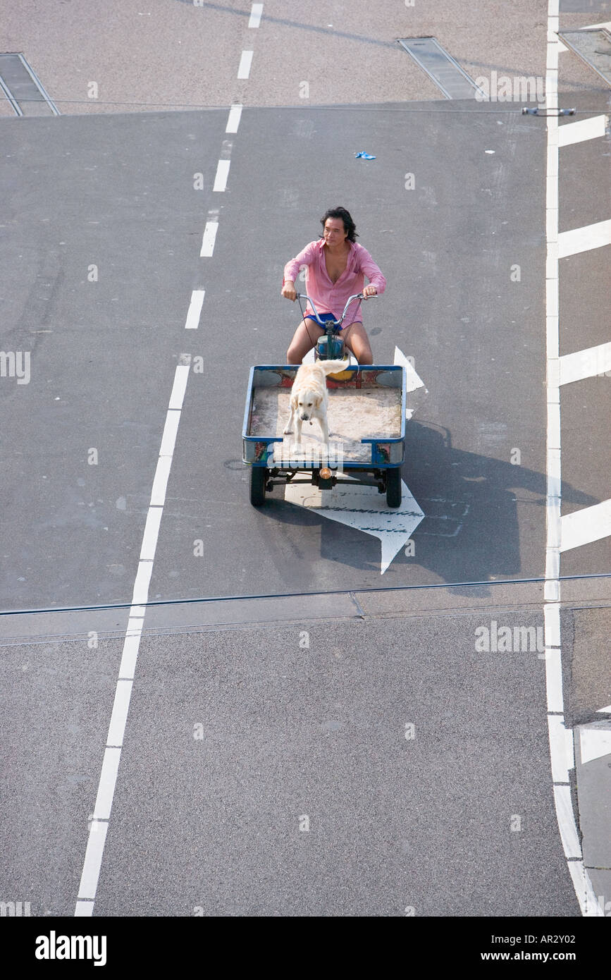 HOLLAND-AMSTERDAM-MANN SEINEN HUND IN EINE CARGO-MOTORRAD FAHREN Stockfoto
