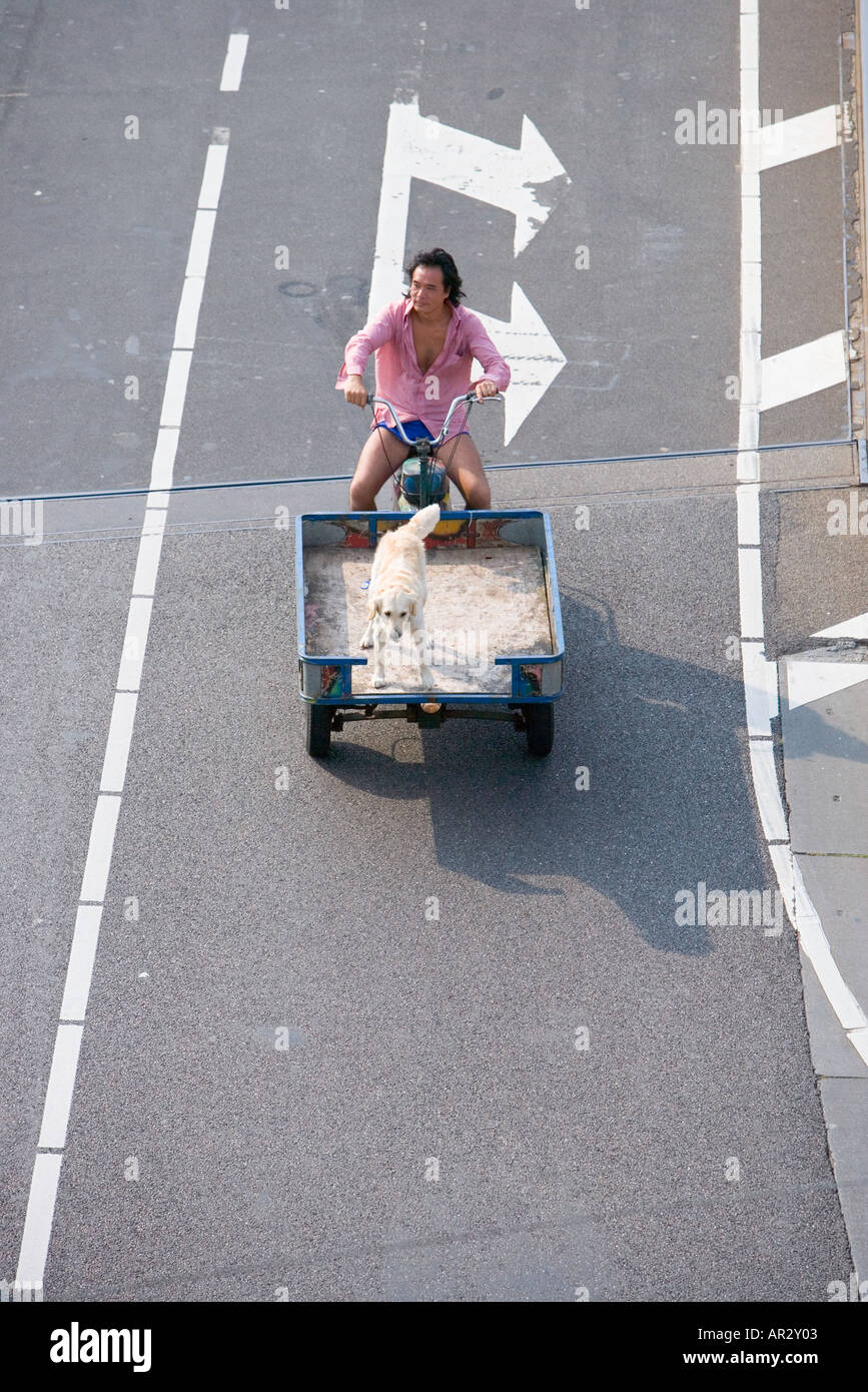 HOLLAND-AMSTERDAM-MANN SEINEN HUND IN EINEM CARGO-MOTOR FAHREN FAHRRAD ÜBER ZWEI WEIßE PFEILE AUF DIE STRAßE GEMALT Stockfoto