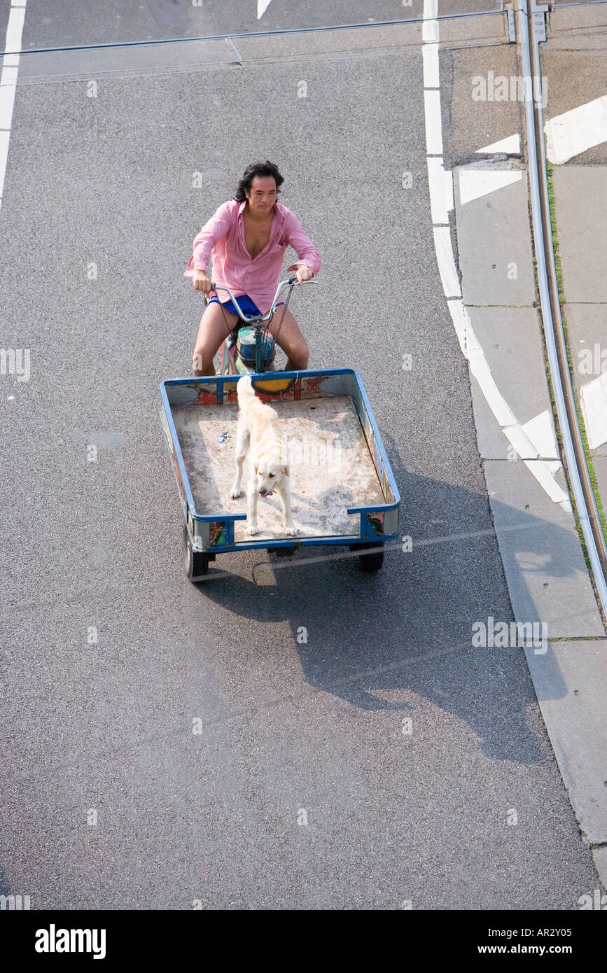 HOLLAND-AMSTERDAM-MANN SEINEN HUND IN EINE CARGO-MOTORRAD FAHREN Stockfoto