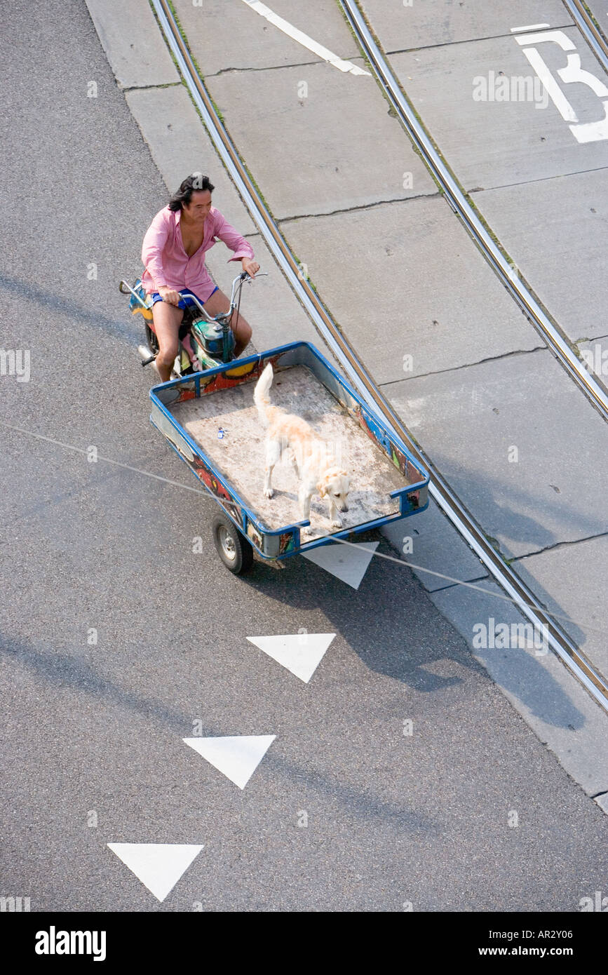 HOLLAND-AMSTERDAM-MANN SEINEN HUND IN EINE CARGO-MOTORRAD FAHREN Stockfoto