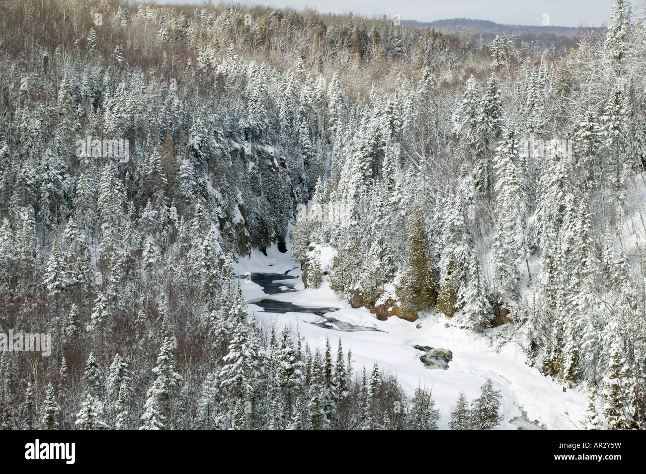 Brule Fluss, Richter C.R. Magney State Park, Minnesota, USA Stockfoto