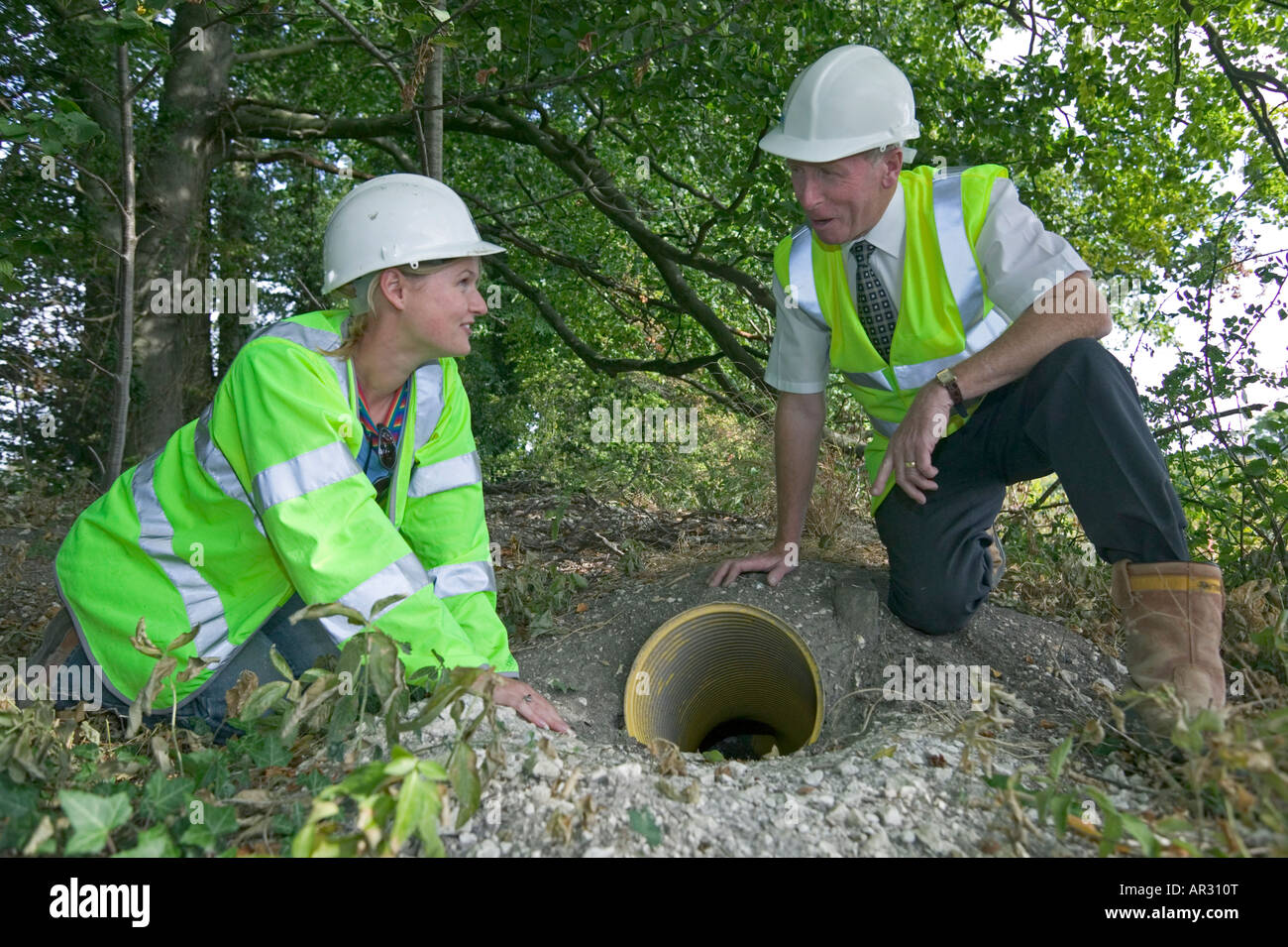 Eine künstliche Dachs Sett gebaut, um einen Dachs Familie weg von den Gefahren einer aktiven Baustelle zu verlegen. Stockfoto