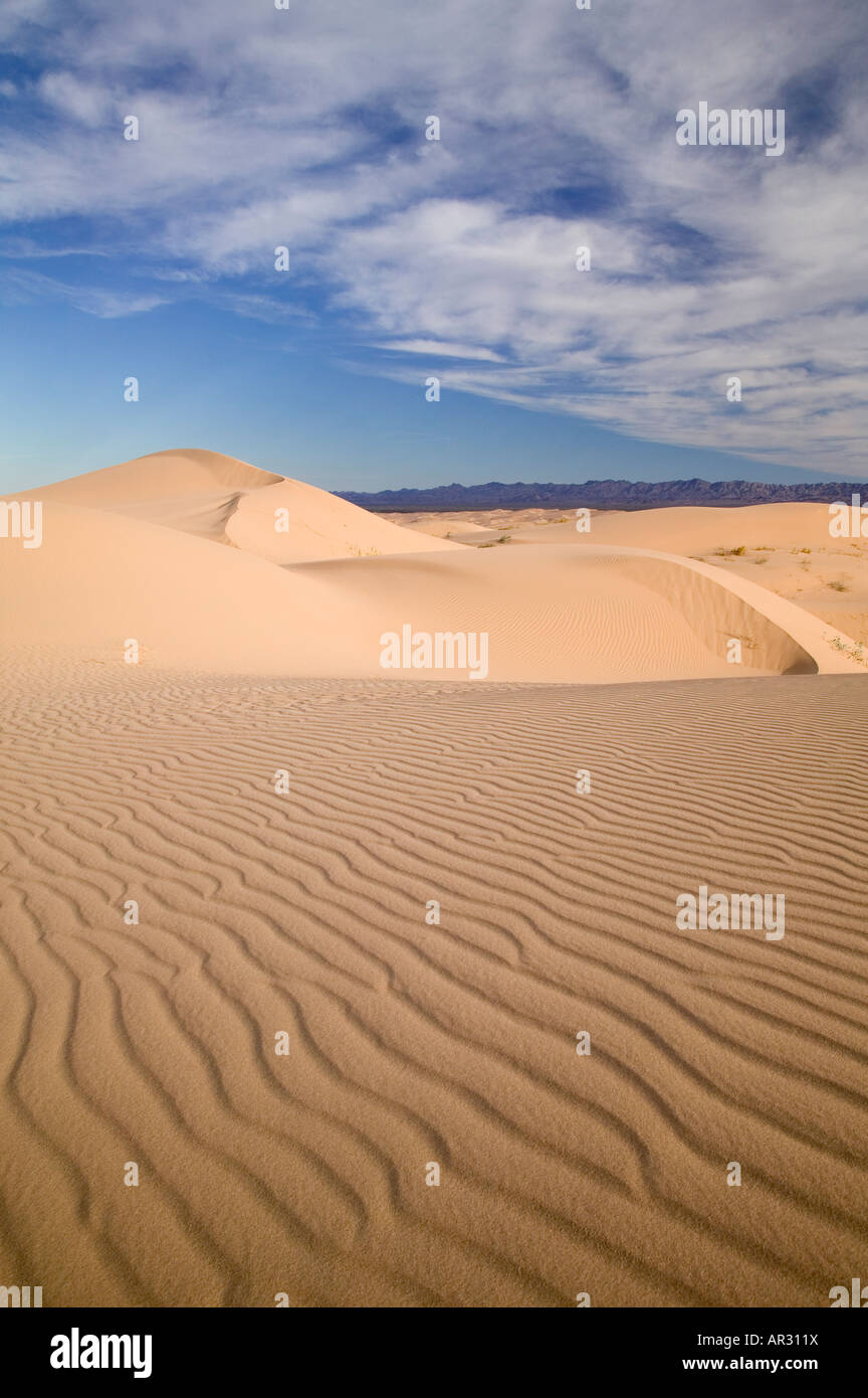 Imperial Sand Dunes, Nord Algodones Wildnis, Kalifornien USA Stockfoto