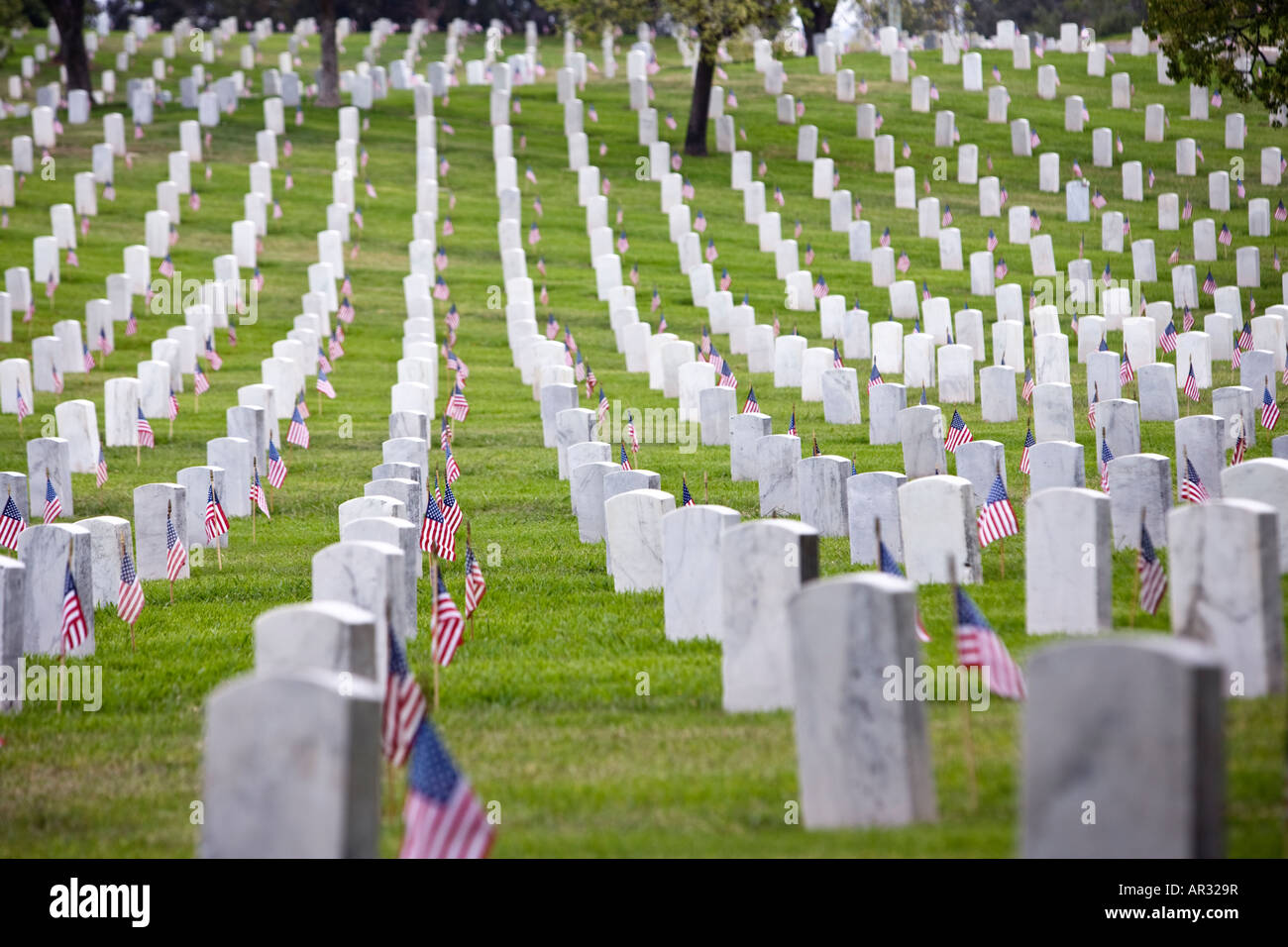 Veteranen-Friedhof am Veterans Day mit amerikanischen Flaggen auf den Gräbern Stockfoto