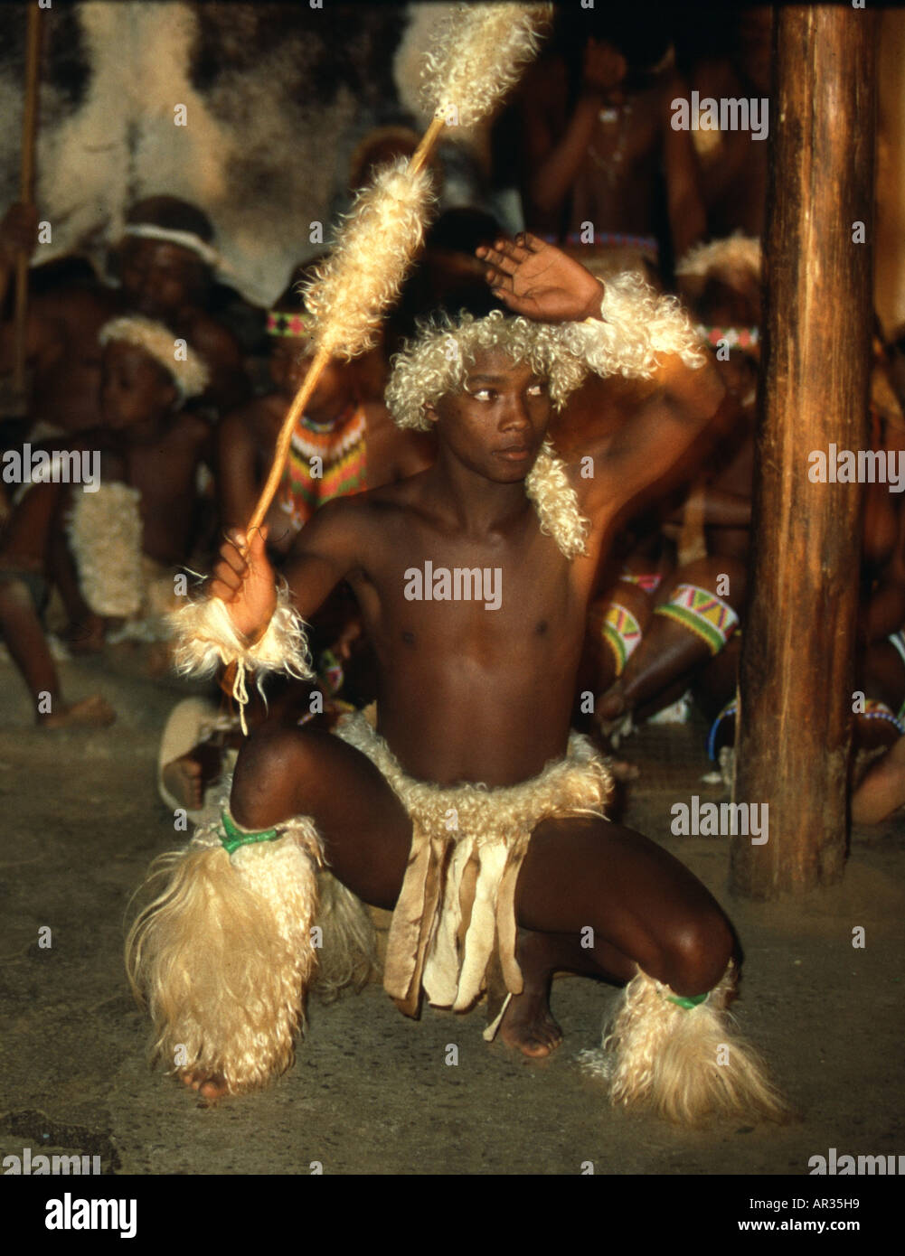 Zulu-Tänzer, Shakaland, Kwazulu-Natal in Südafrika Stockfoto