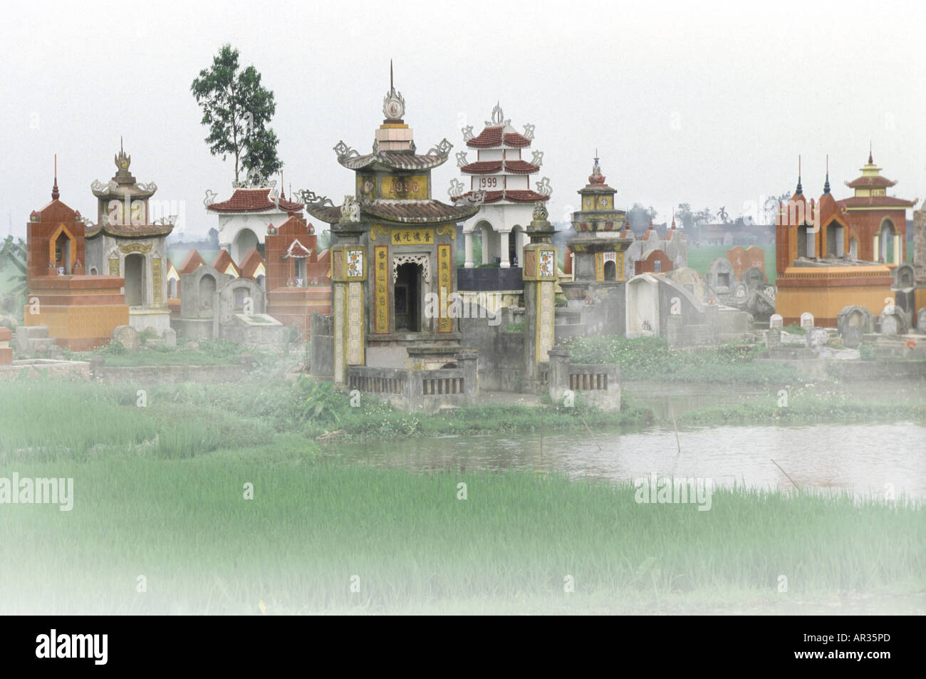 Friedhof mit Gräbern im Nebel am nördlichen Vietnam, Vietnam, Asien Stockfoto