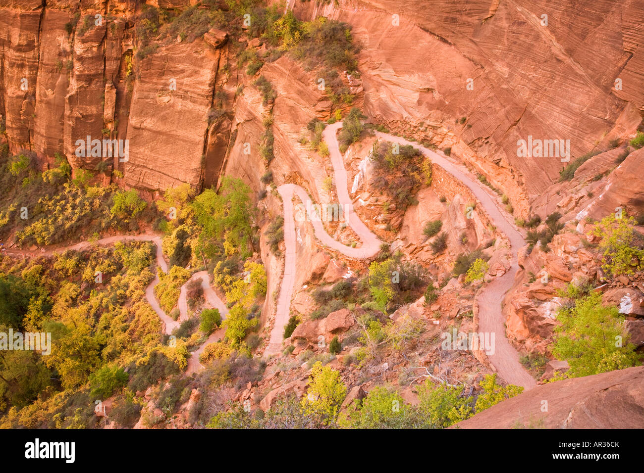 Angels Landing Trail Zion Nationalpark, Utah Stockfoto