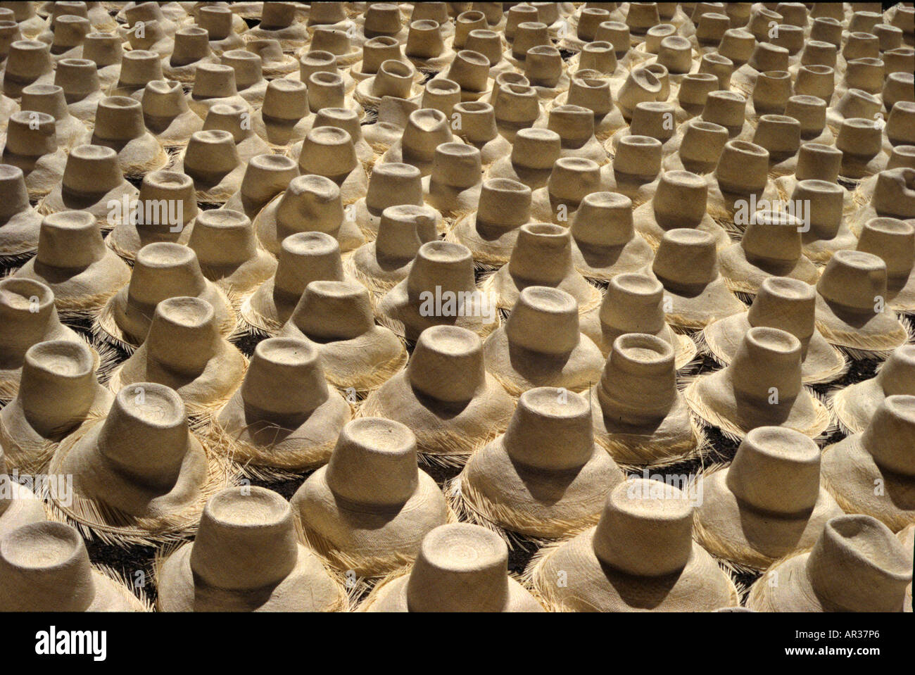 Panamahüte, halbfertigen in Fabrik, Cuenca, Ecuador, Südamerika, Amerika Stockfoto