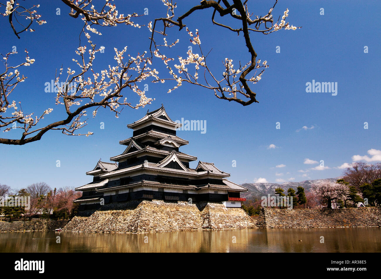 Burg Matsumoto in Japan Stockfoto