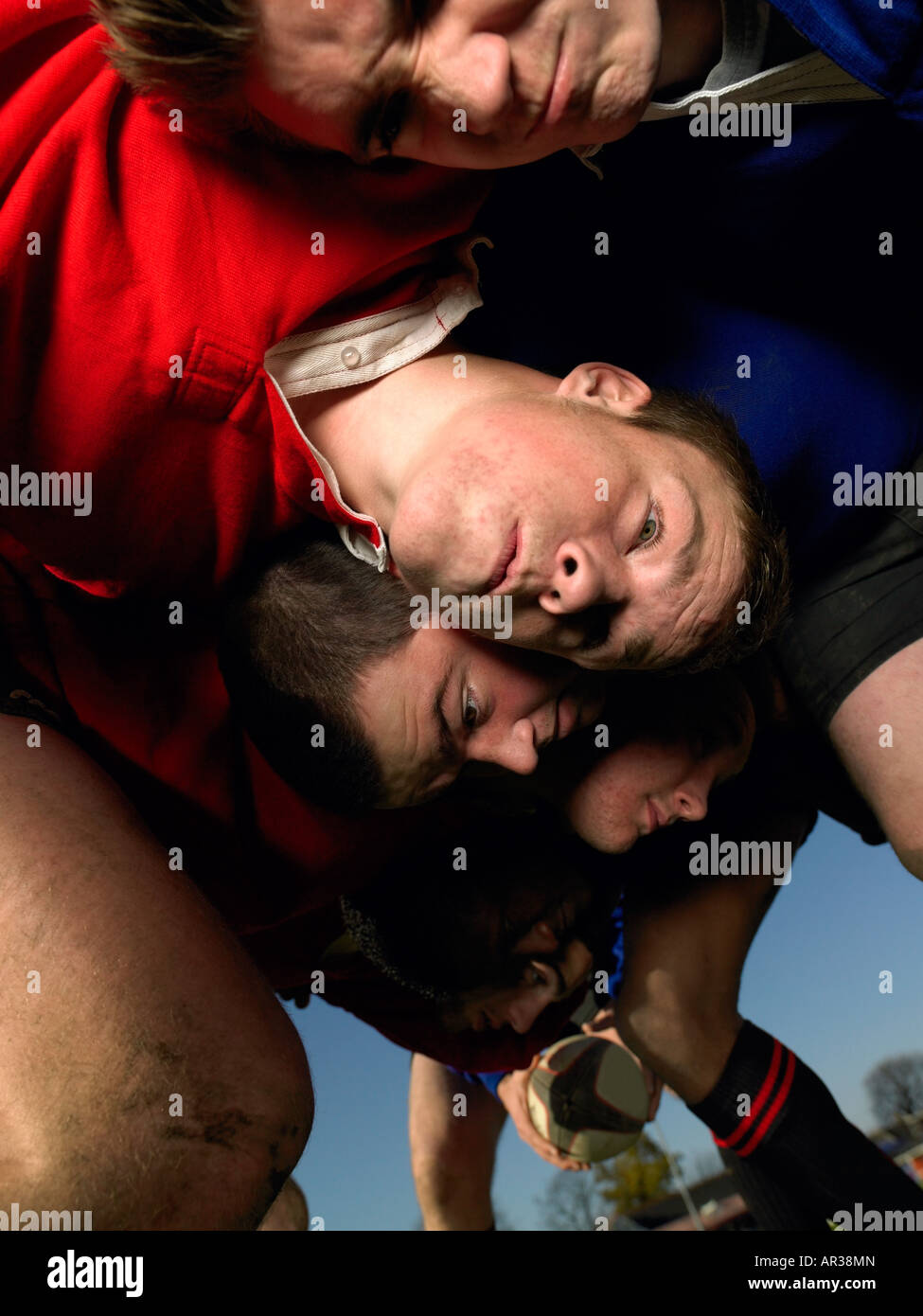 Rugby-Spieler in einem scrum Stockfoto